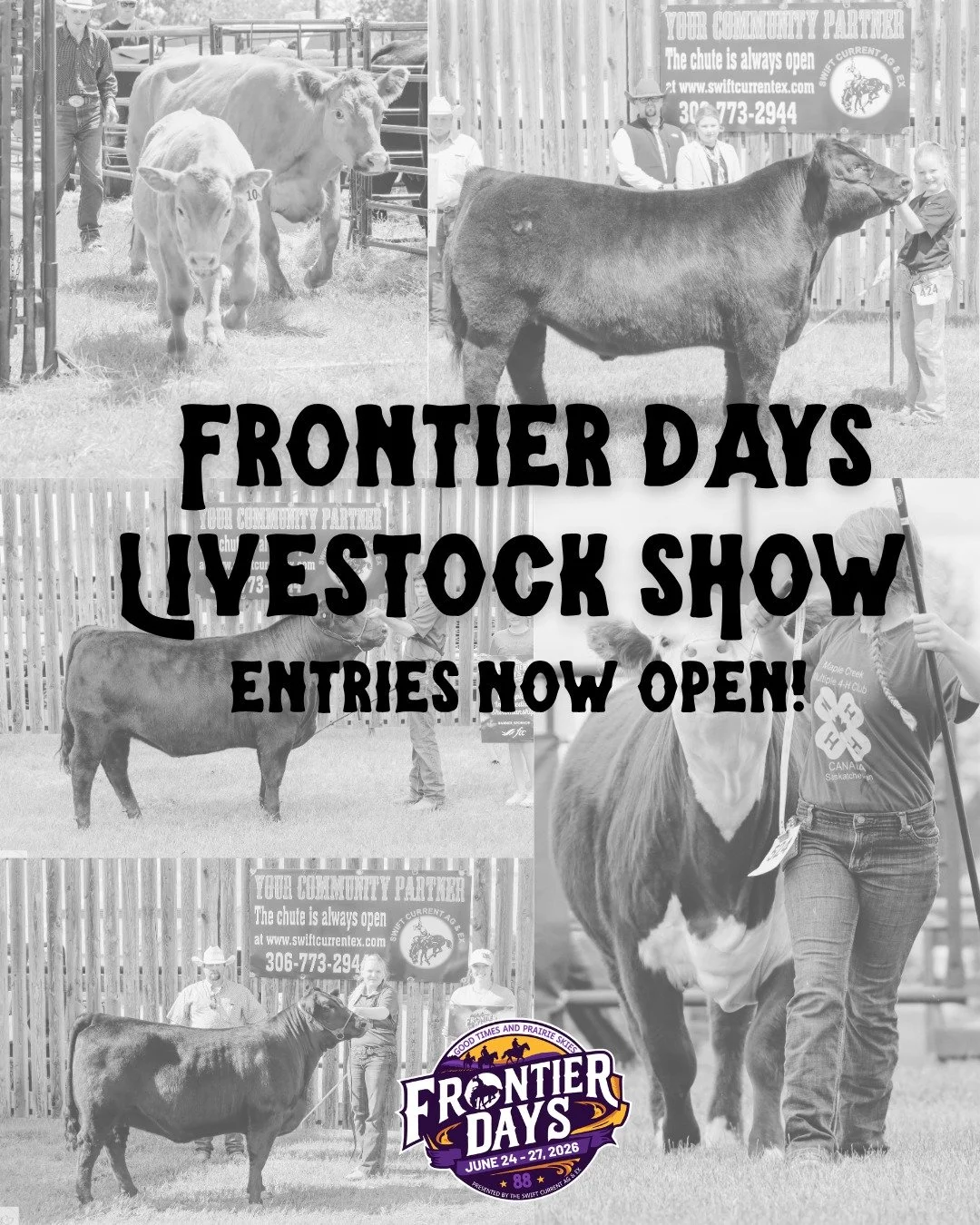 Frontier Days 2026 4-H &amp; Livestock Show Entries are now OPEN! 🤠

Head over to our website for 2026 show documents and the online entry link:
https://www.swiftcurrentex.com/frontier-days-livestock-26

📅Entry deadline: June 15

We look forward to
