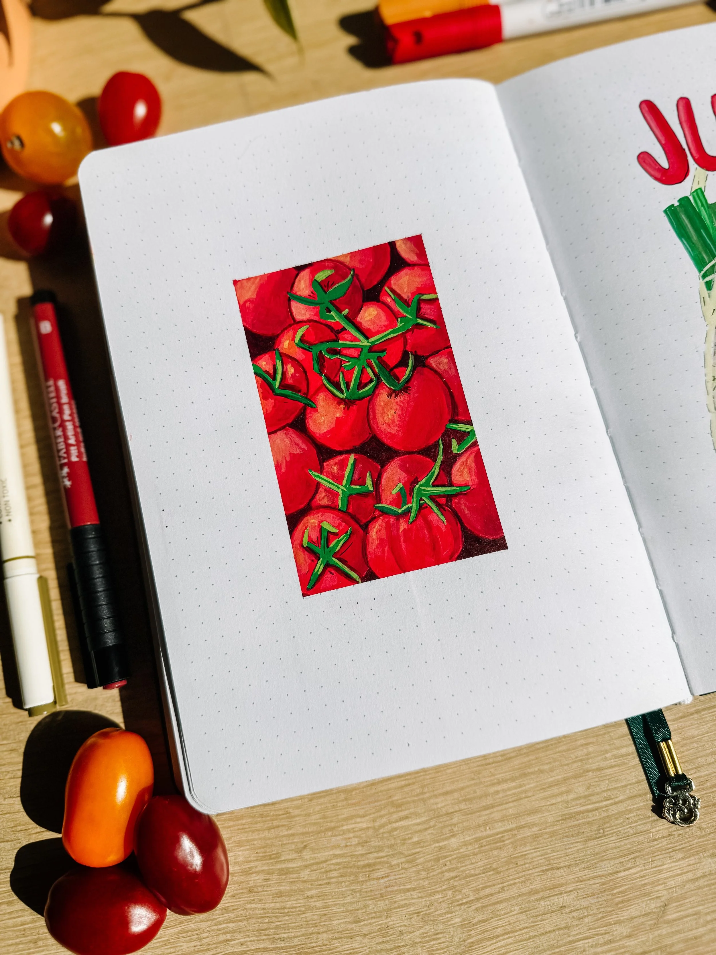 tomato illustration.jpeg