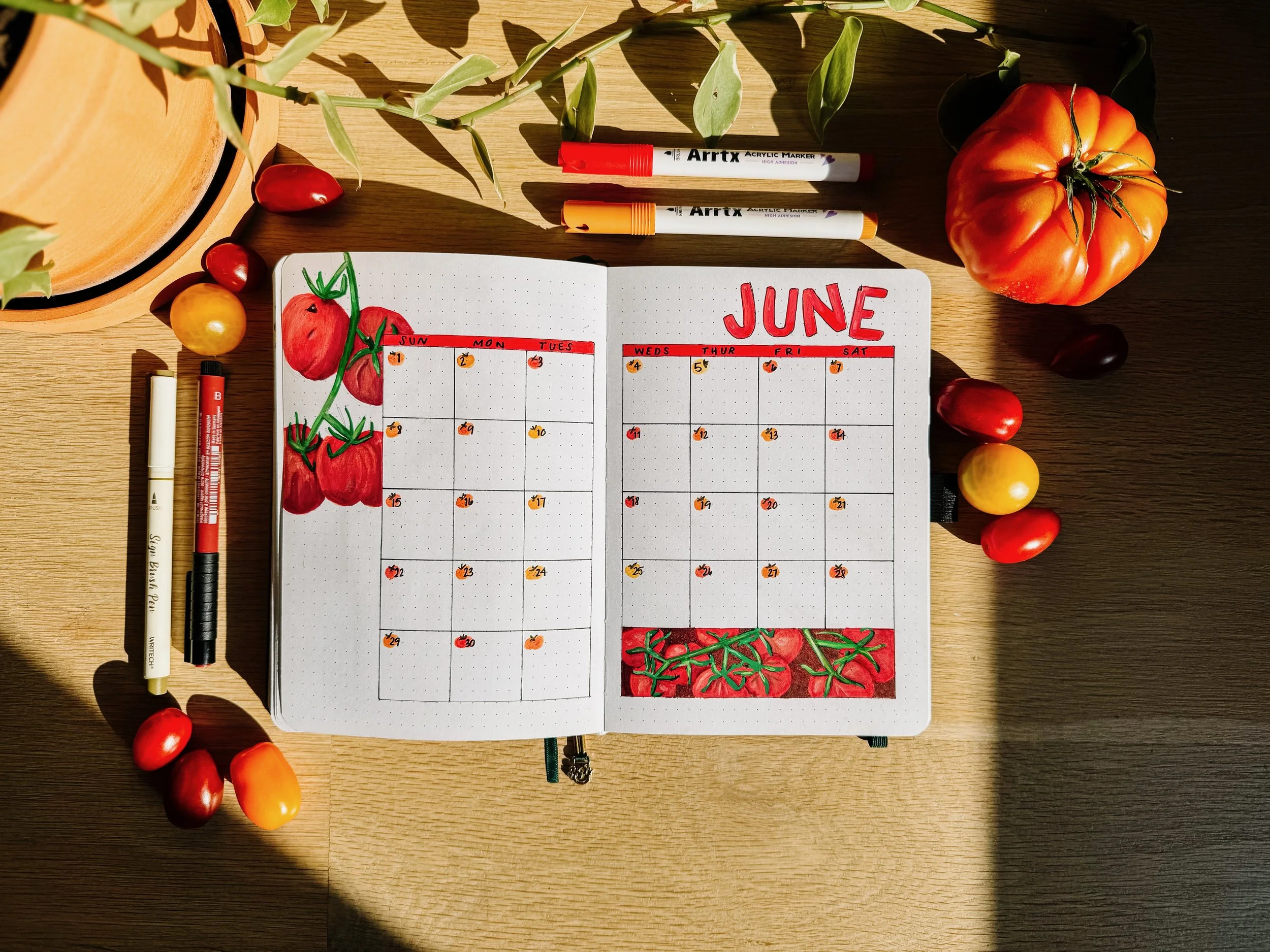 tomato theme summer bujo.jpeg
