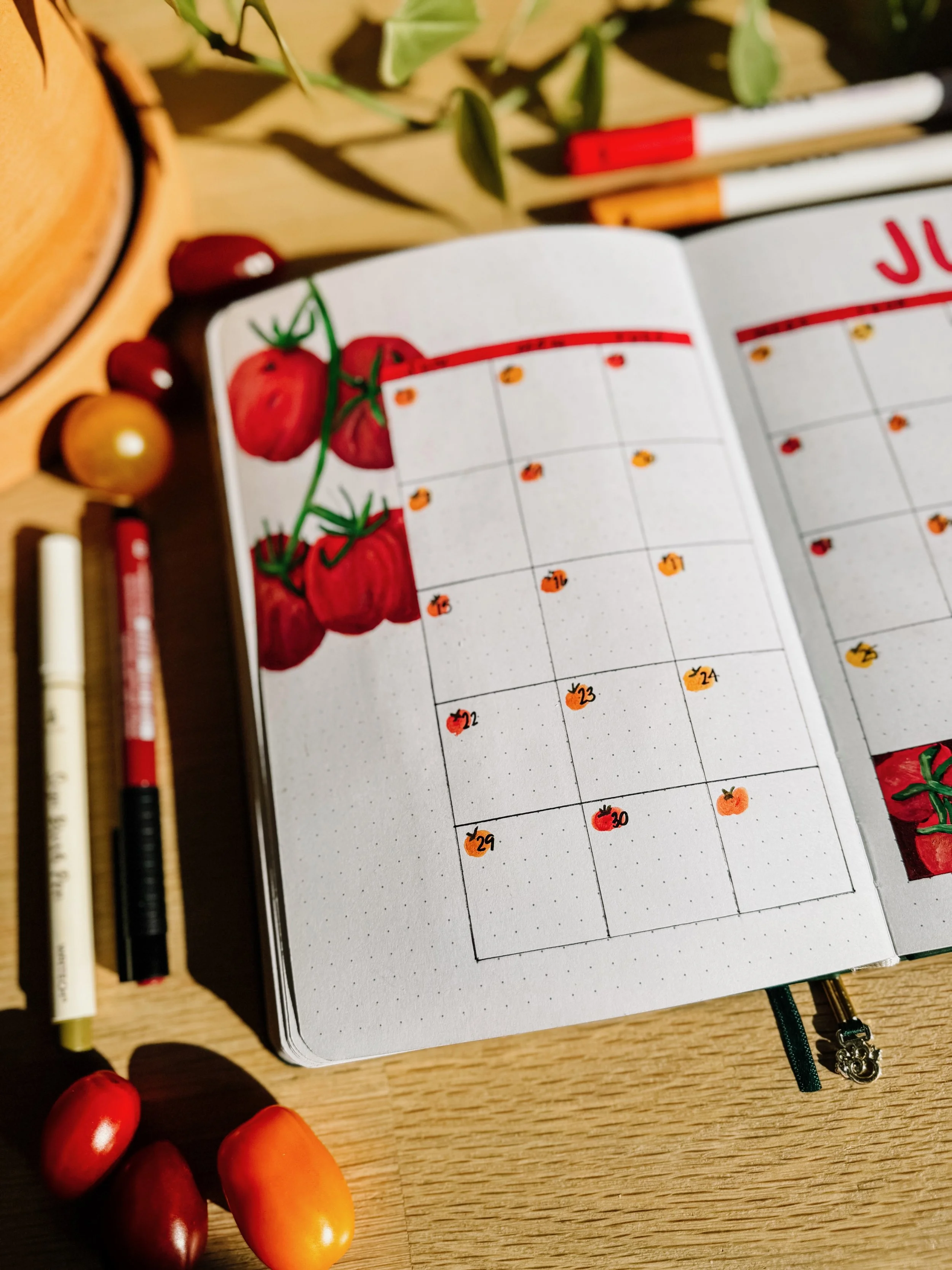 june calendar planner drawing.jpeg