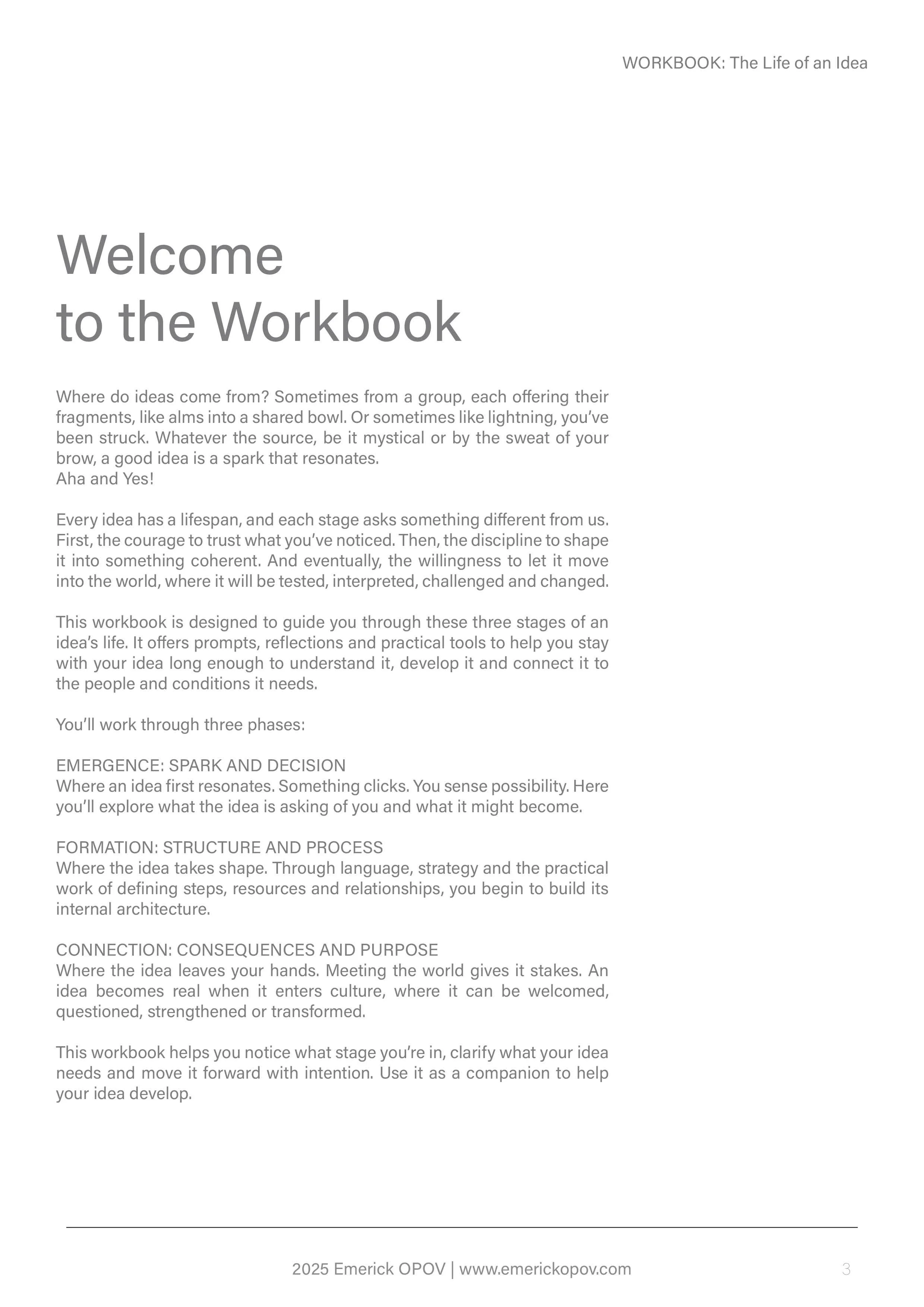 Life of an idea workbook3.jpg