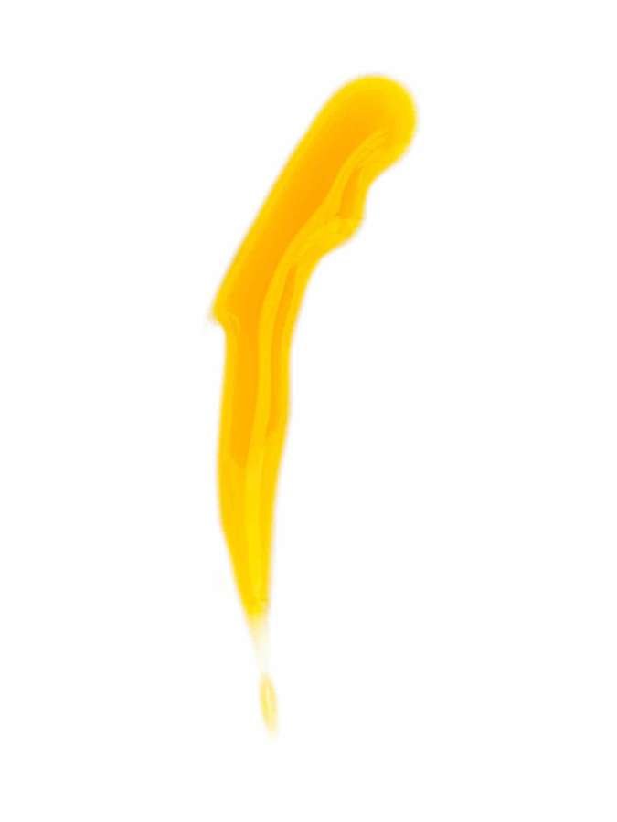 Laurel-Antioxidant-Serum-Vibrancy-Revival-3.jpg