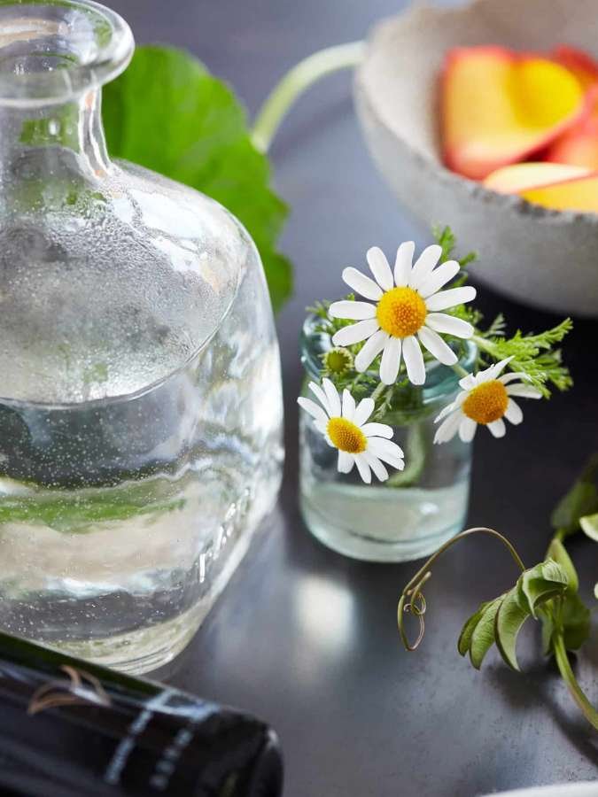 Laurel-Hydrating-Elixir-ll-Support-+-Recover-3.jpg