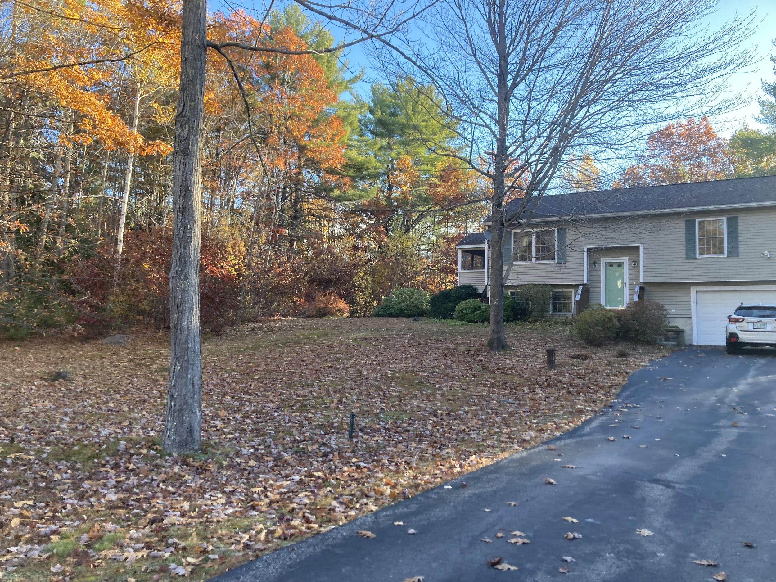 Fall cleanup, before and after