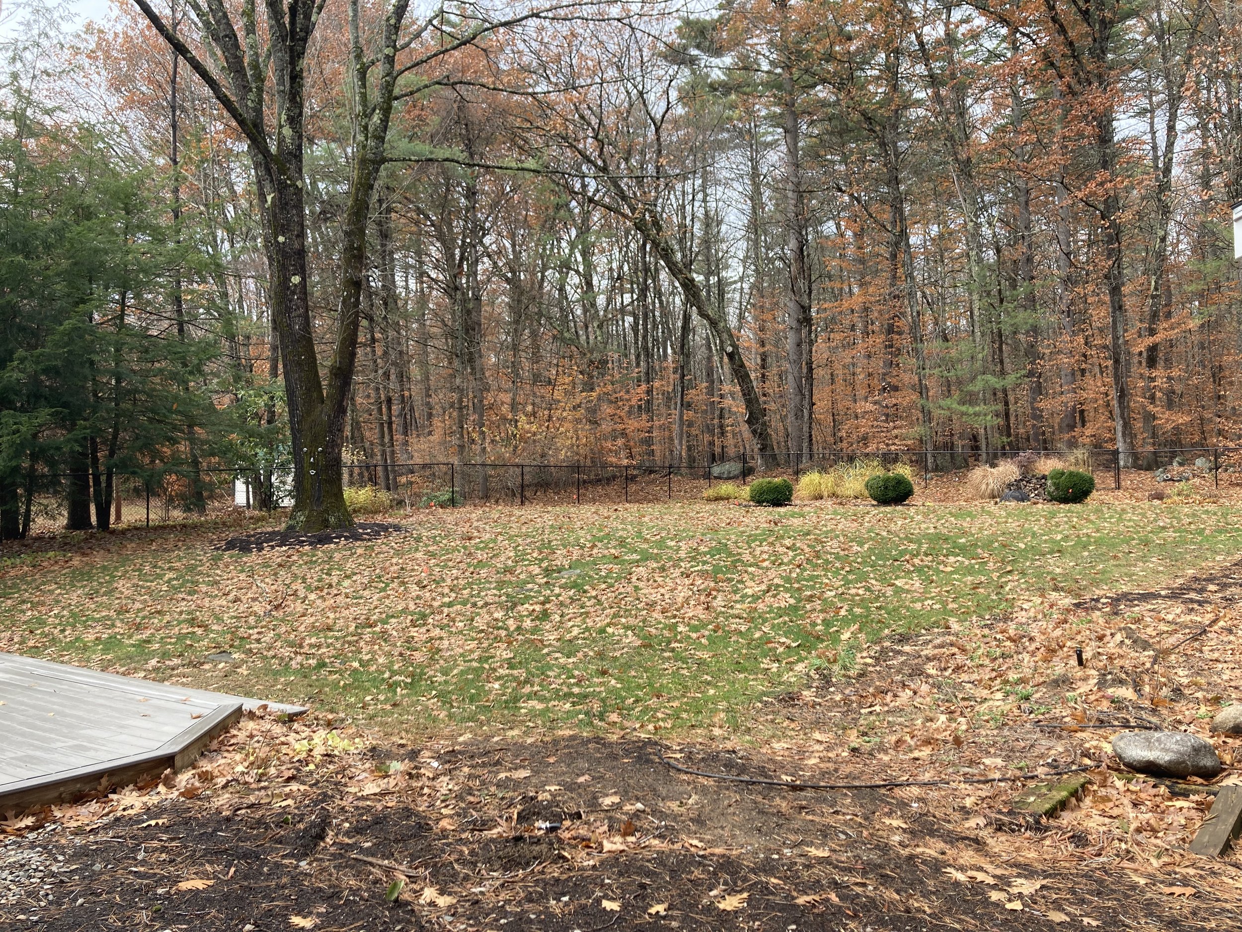 Fall clean up, before and after