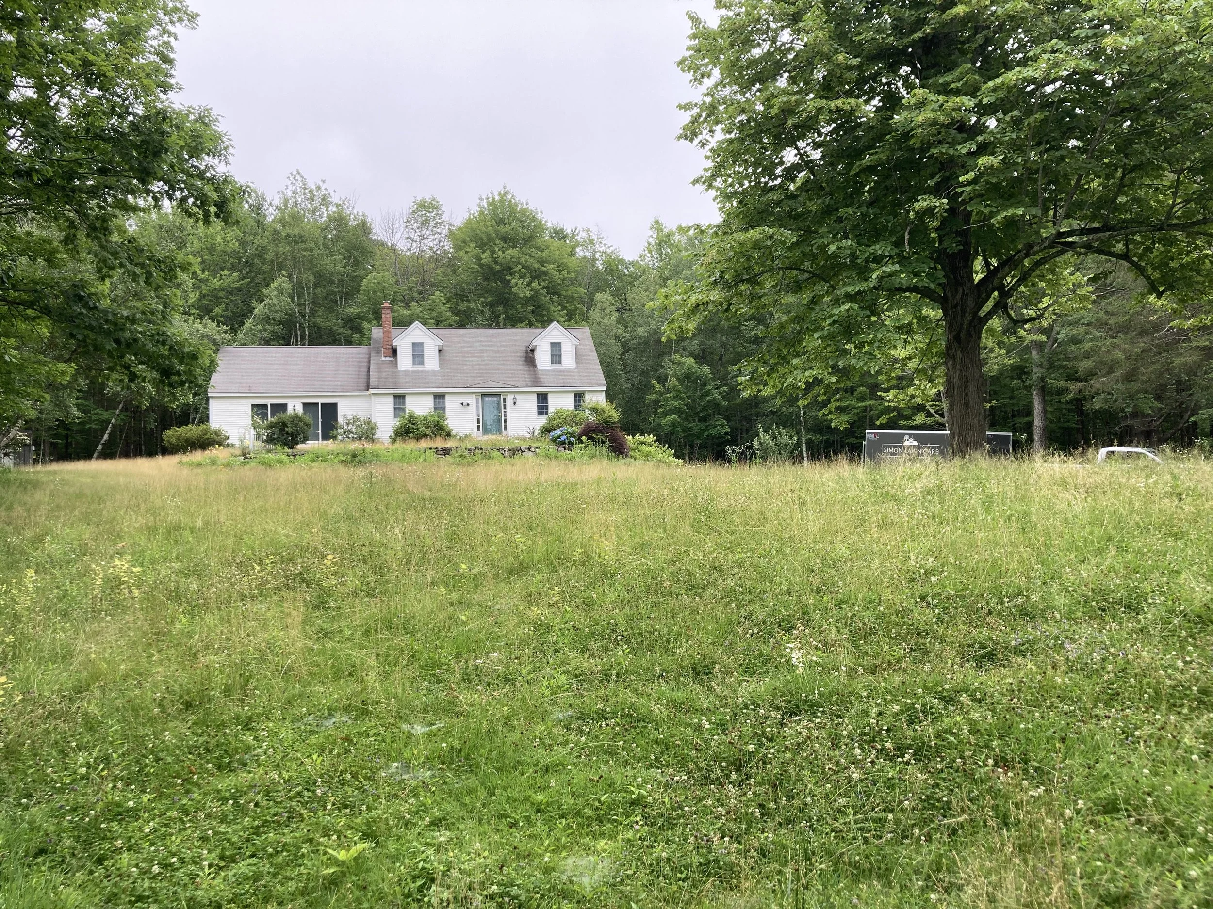 Overgrown lawn, before and after