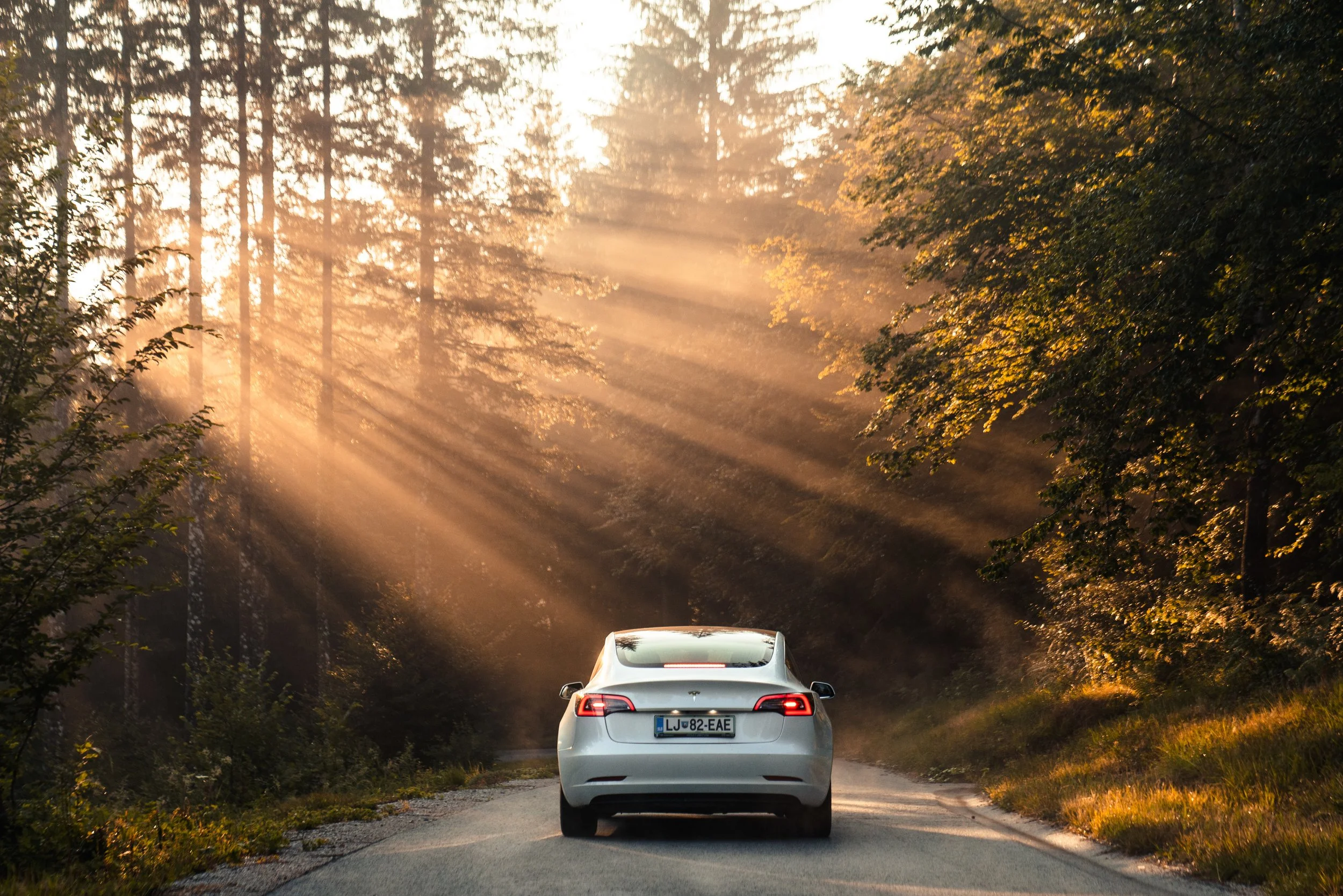 A white Tesla car driving down a narrow, tree-lined road during sunset, with sunlight filtering through the trees and casting rays onto the road.