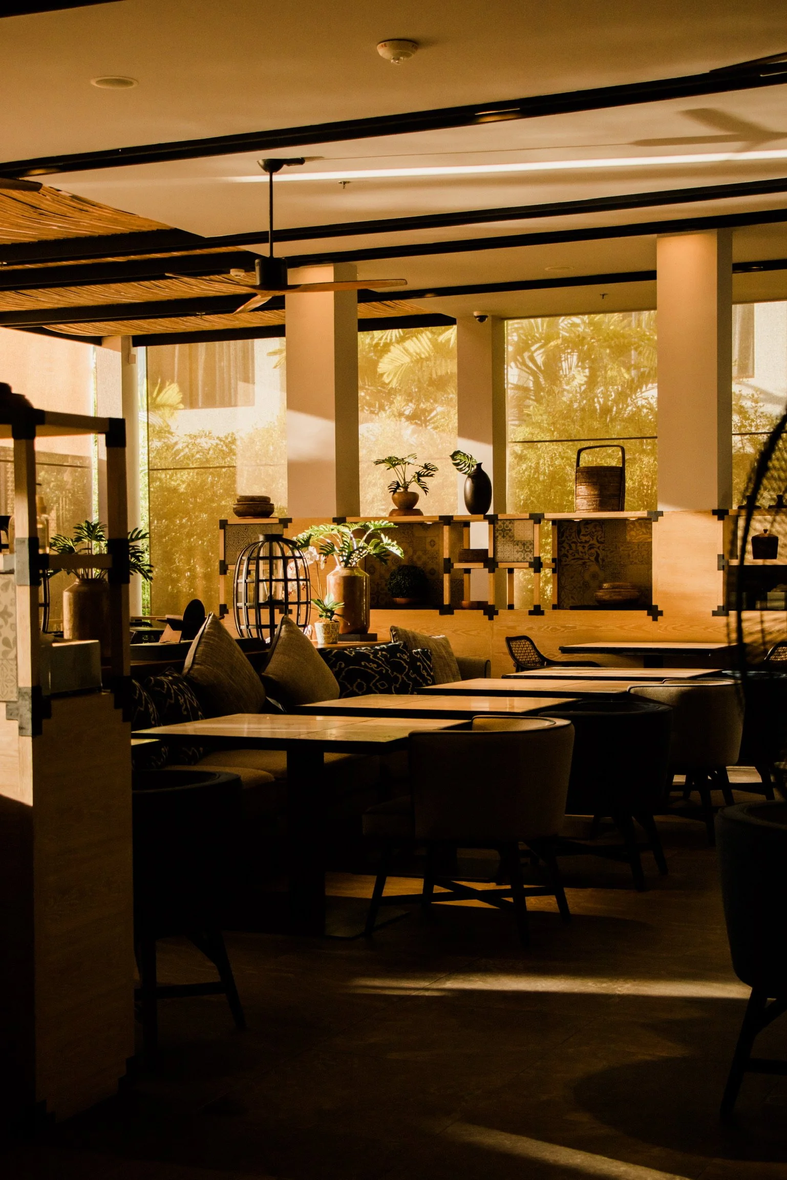 Interior of a restaurant with tables, chairs, and decorative plants, illuminated by natural afternoon sunlight.