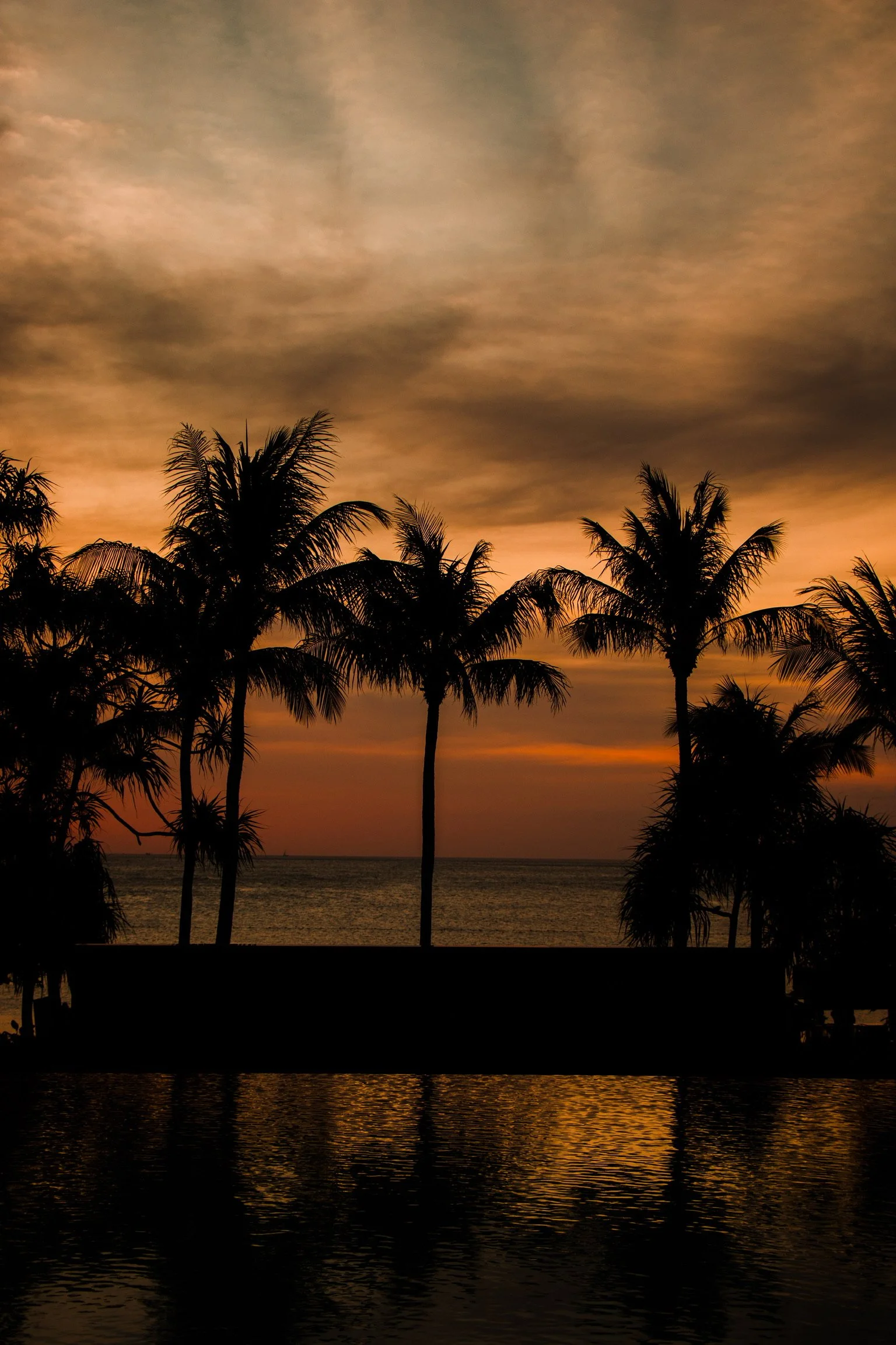 Silhouetted palm trees along a shoreline during sunset with reflection in water.