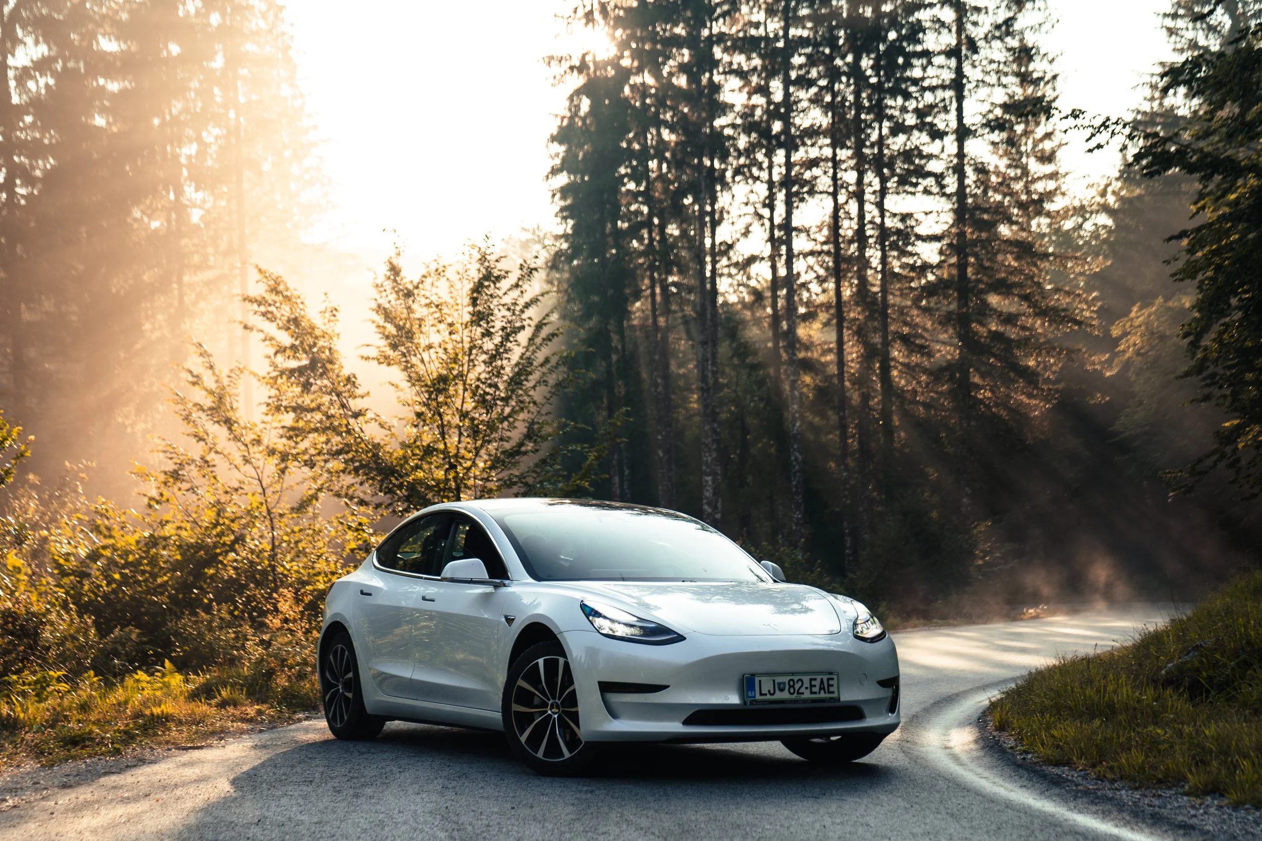 A white Tesla Model 3 parked on a winding forest road during sunset with rays of sunlight filtering through trees.
