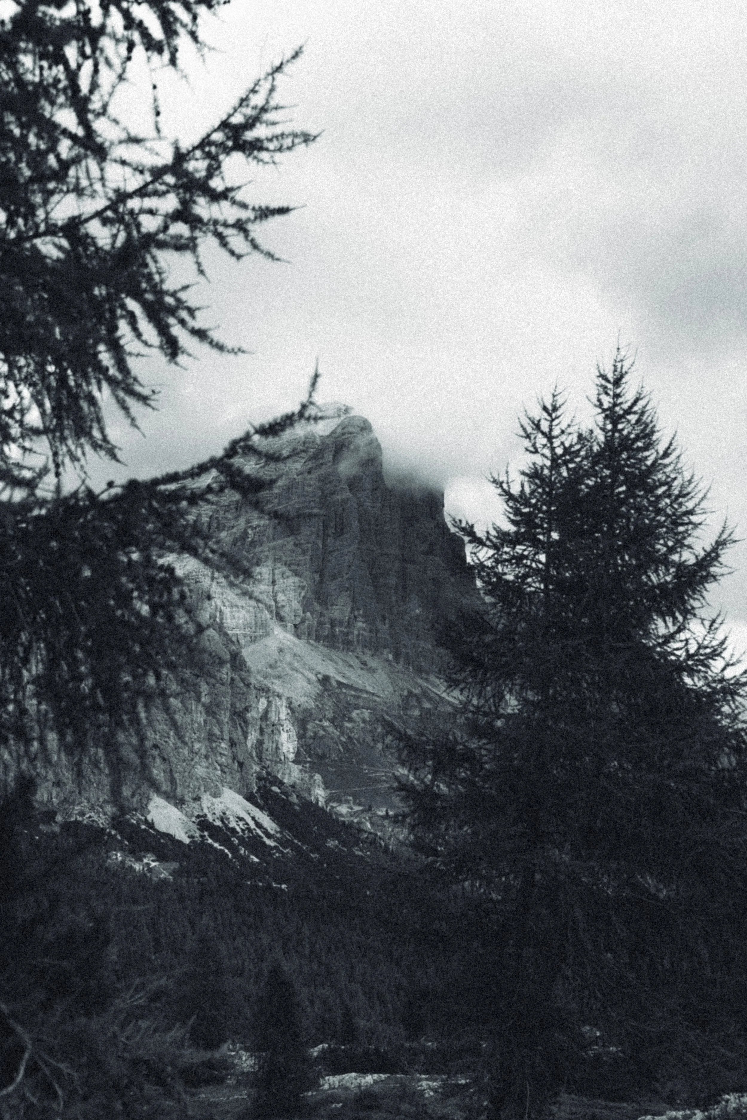 Black and white photograph of a mountain partially obscured by clouds, framed by dark pine trees in the foreground.