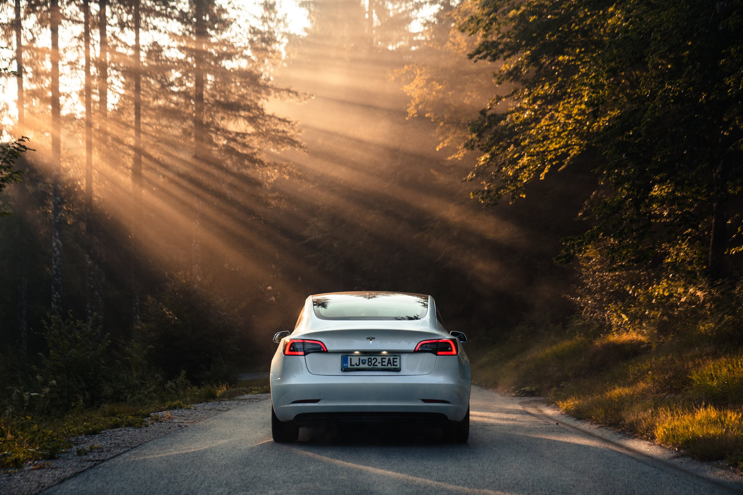 A white Tesla car driving on a narrow rural road surrounded by trees with sunlight streaming through the branches.