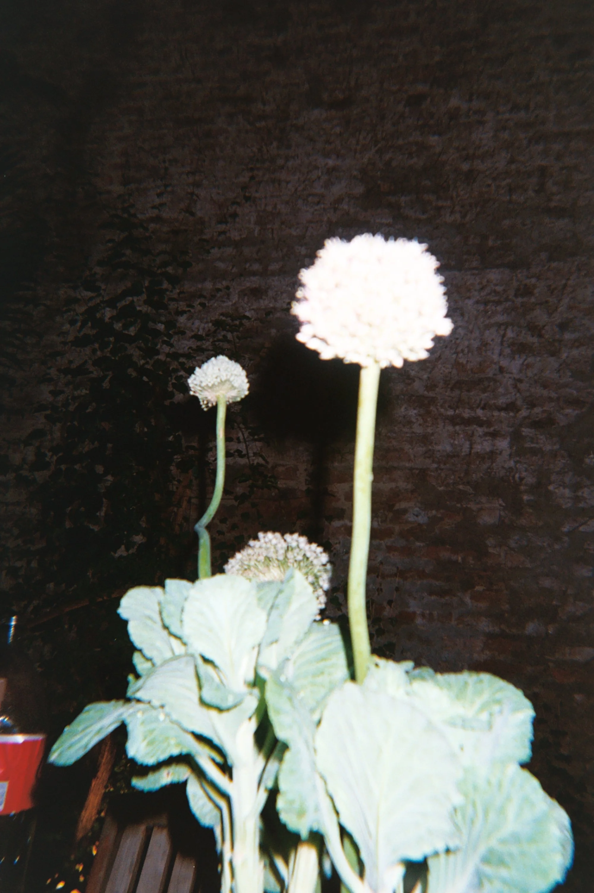 0124 - AA010.jpg