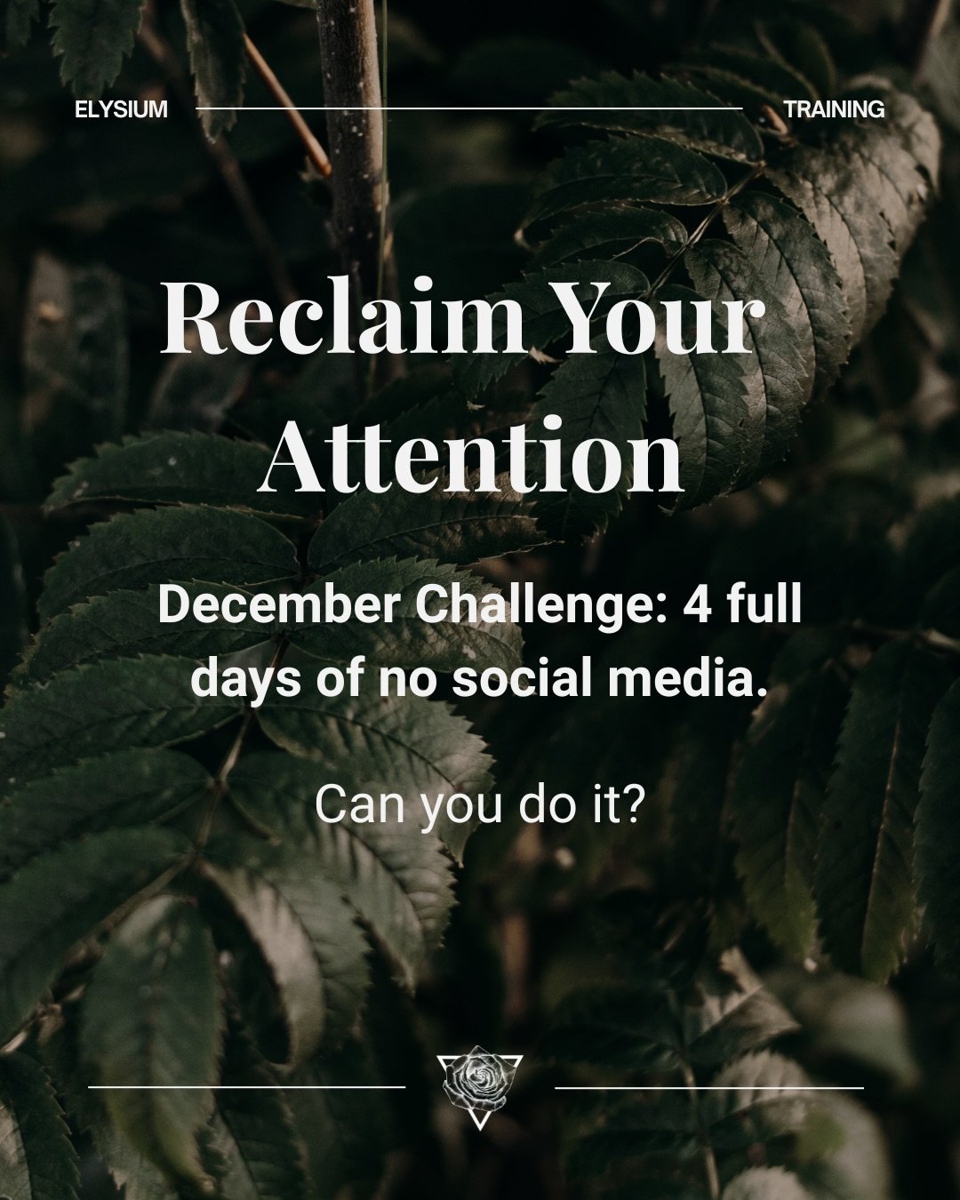 The average person scrolls for 32 hours a week.

If you feel tired, distracted, or constantly pulled a hundred different directions it&rsquo;s not random.

You were not built to absorb everyone else&rsquo;s life all day.

Choose four days this month 