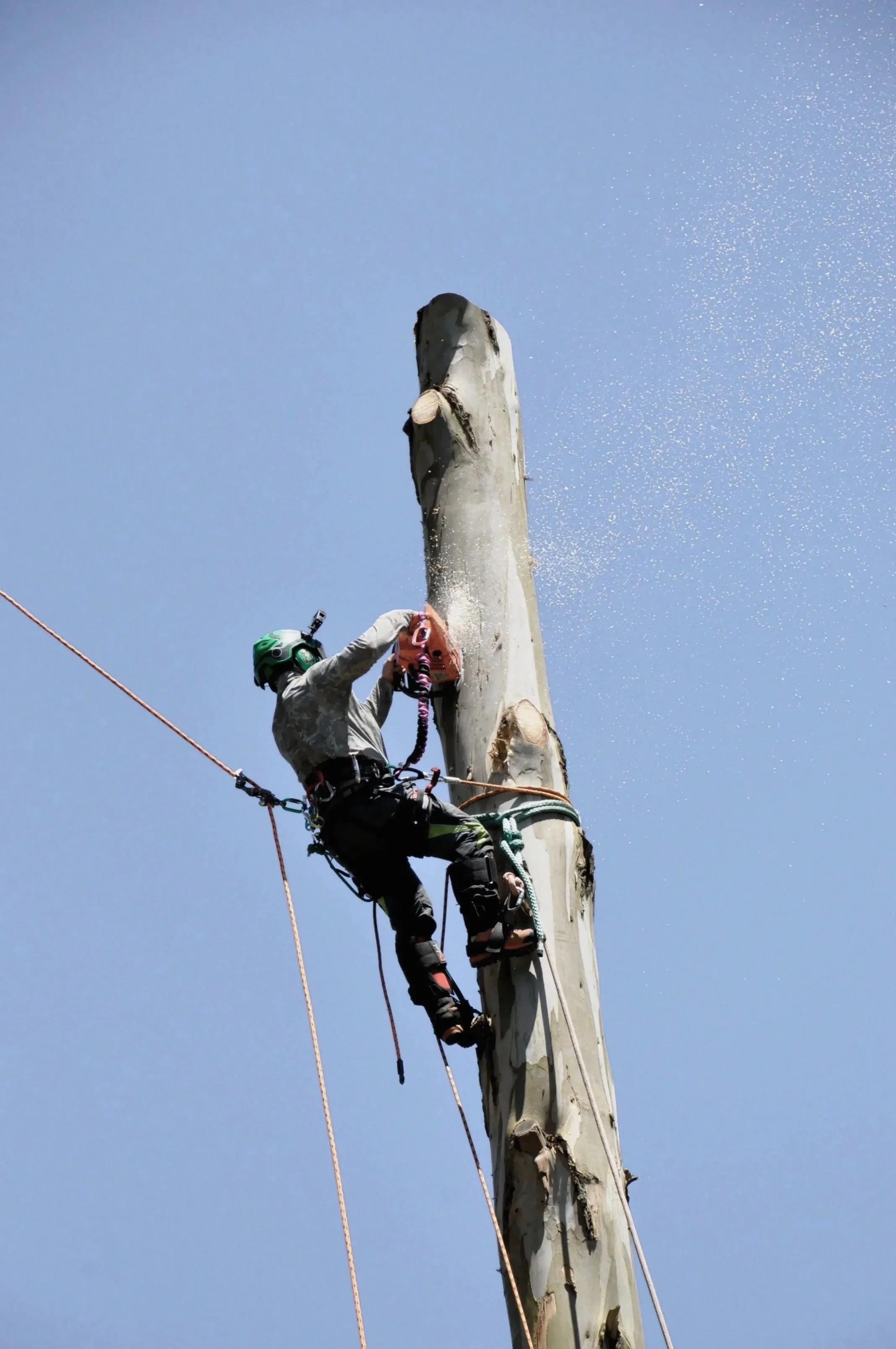 Dos personas con cascos seguros escalan un poste de madera alto, con cuerdas de seguridad y equipo de protección, mientras el cielo claro de fondo.