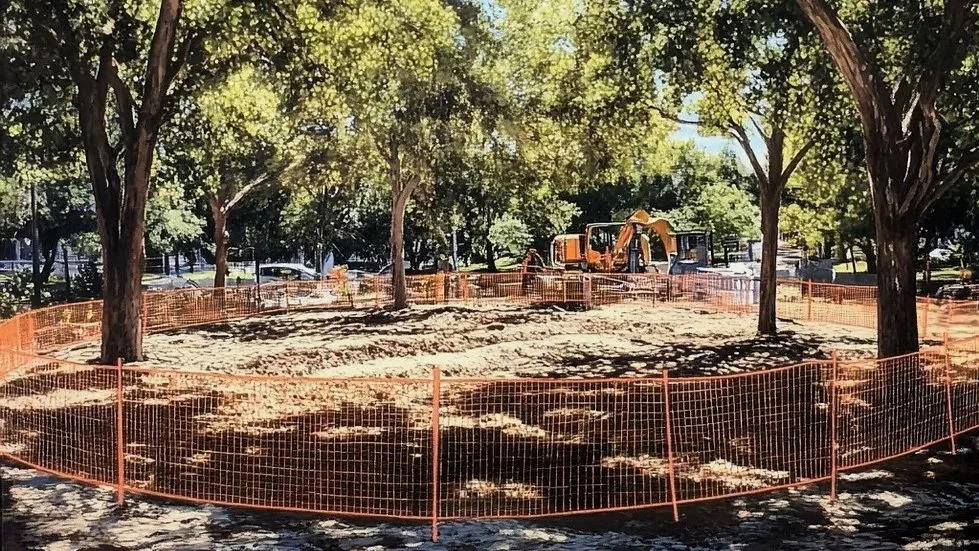 Árboles y construcción: una relación delicada que comienza bajo el suelo