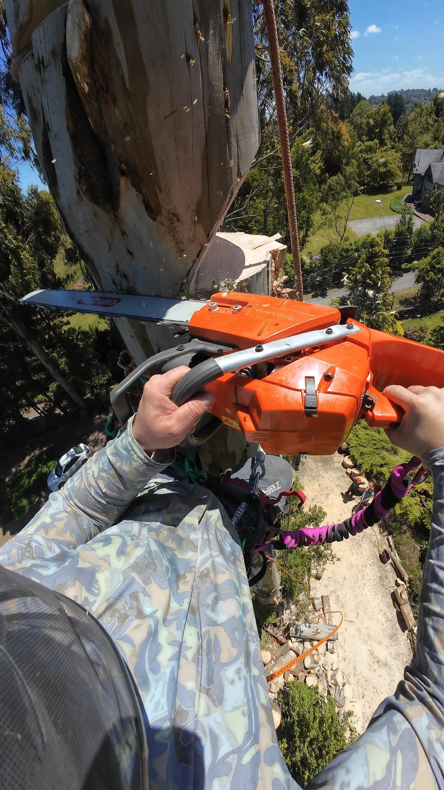 Operador cortando un árbol con una motosierra desde la cima, en un entorno natural con árboles verdes, casas y un camino en el fondo.