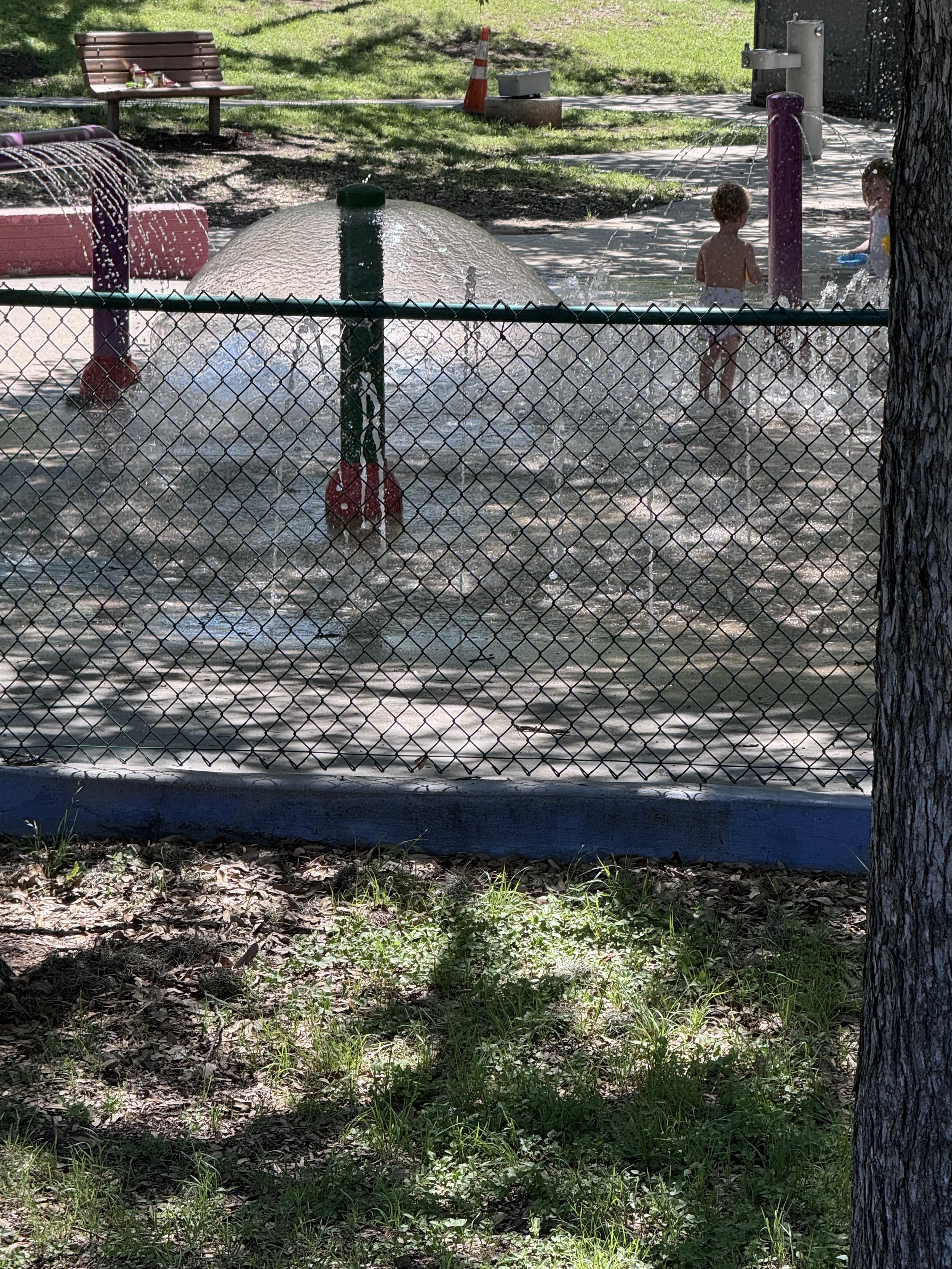 IMG_7472.jpeg