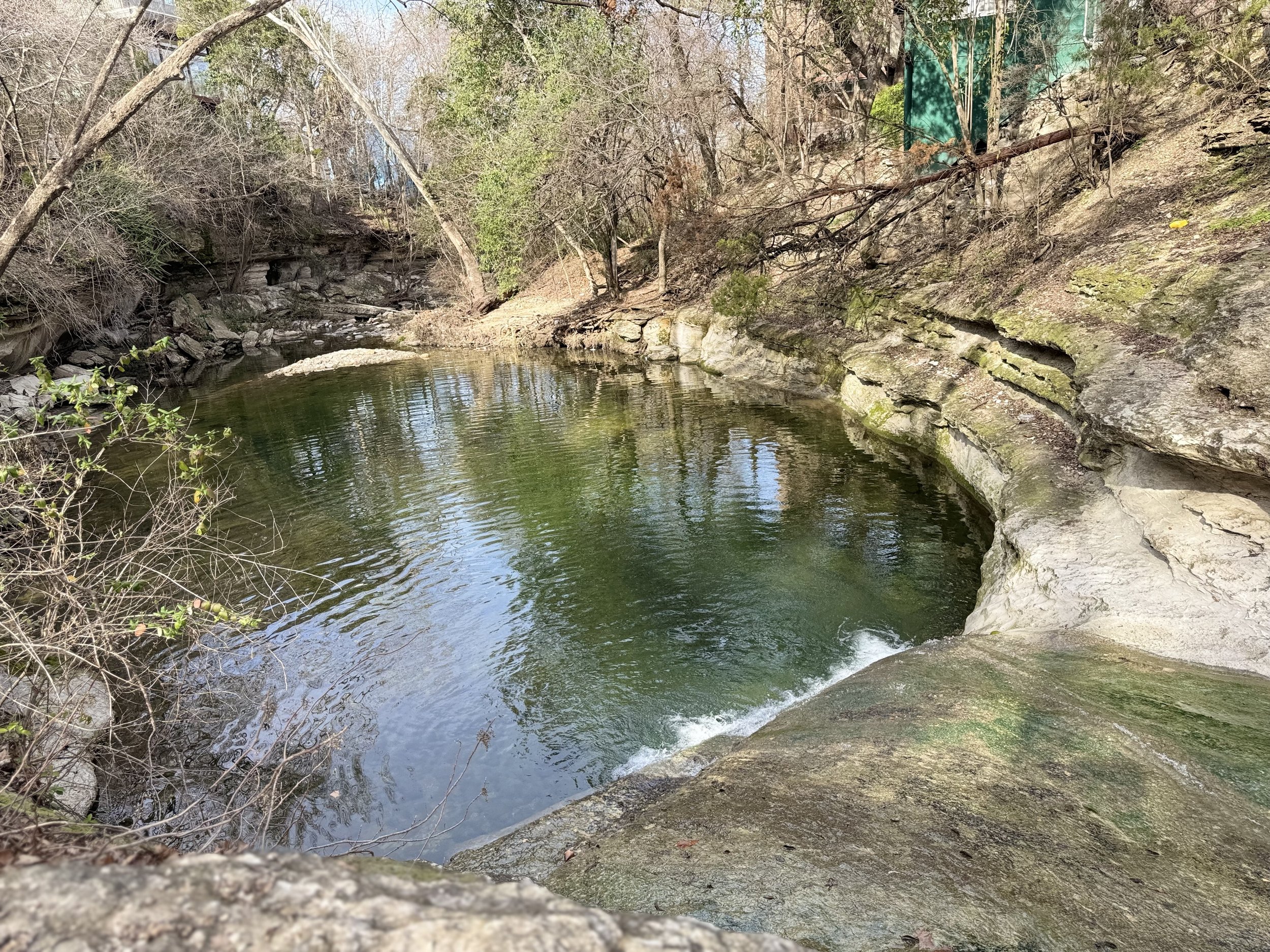 IMG_0878.jpeg