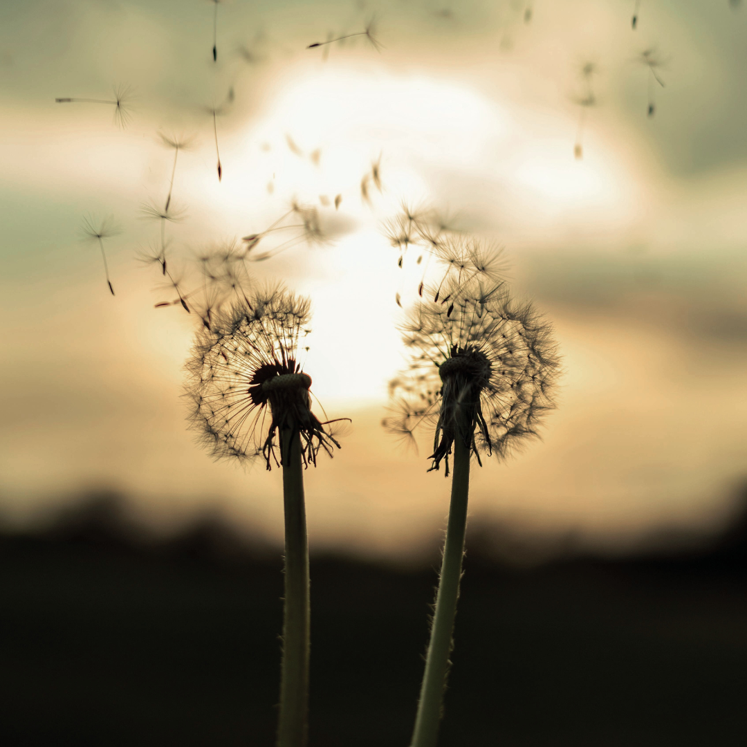 When Life Begins to Expand