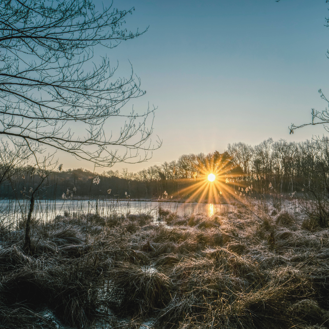 Presence, Expansion, and Ease: Honoring the Rhythm of the Season