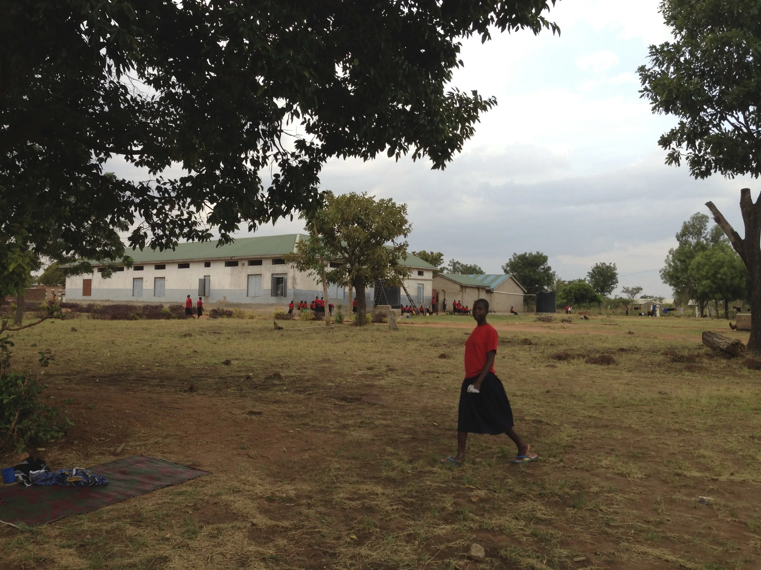 Born Under the Kworo Tree: The Story That Sparked a Movement