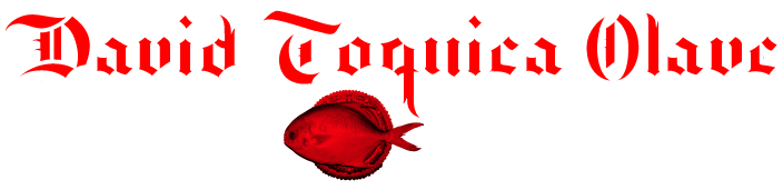 DavidToquica.com