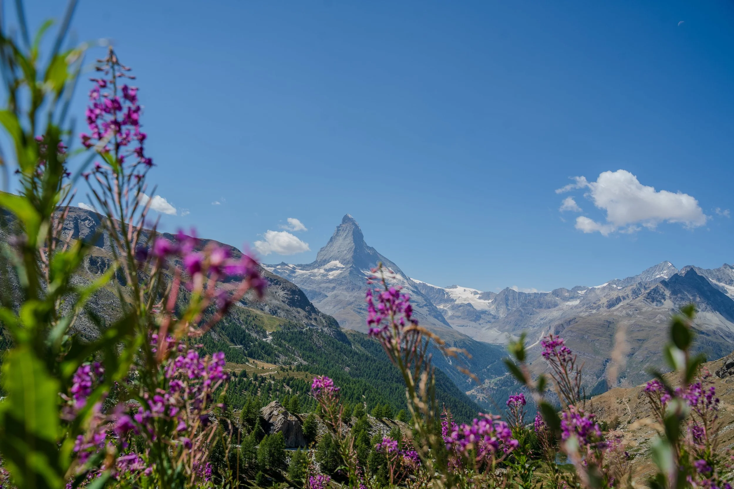 DSC06461 (1).jpg