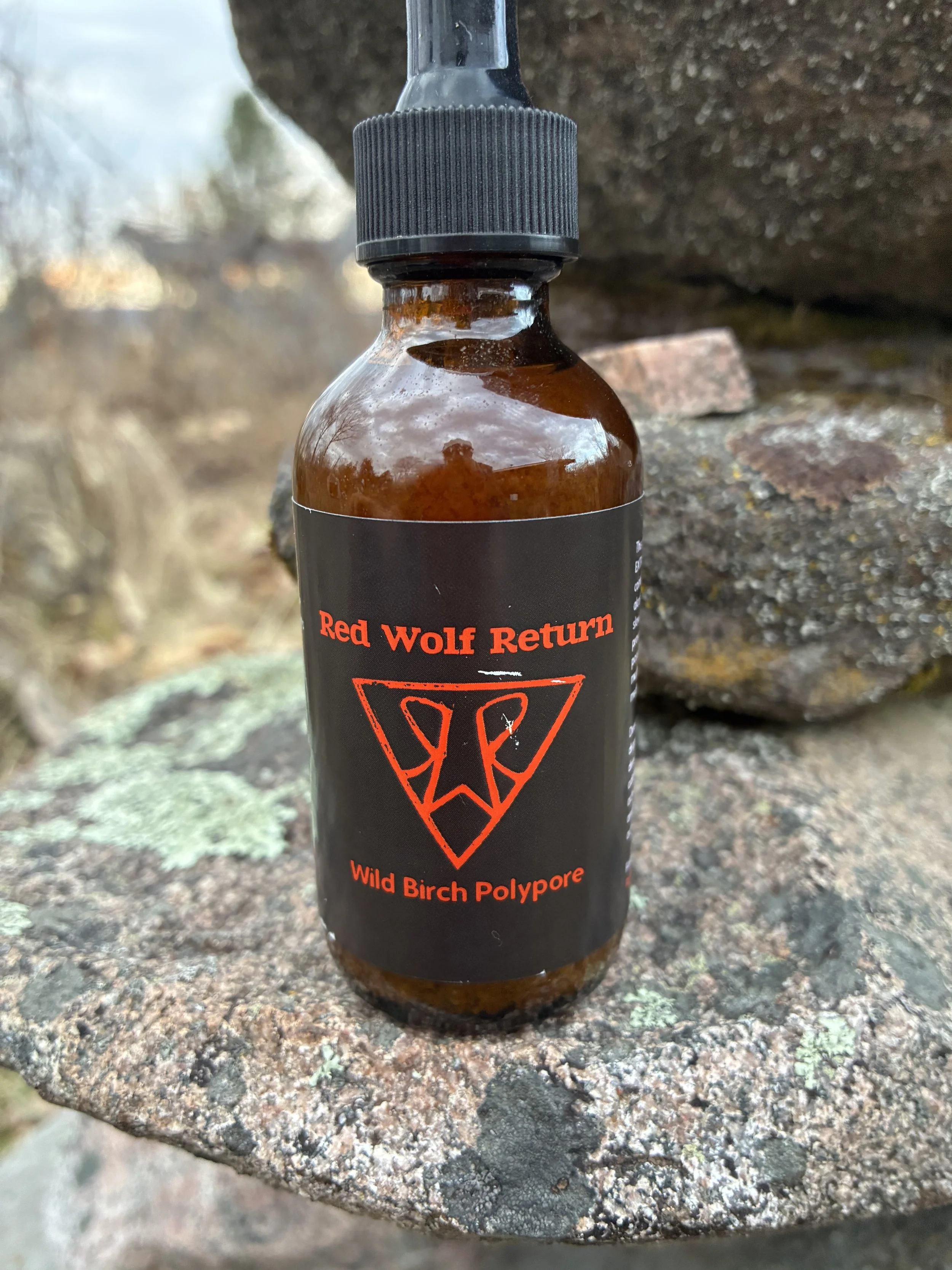 Wild Birch Polypore Dual Extract Tincture