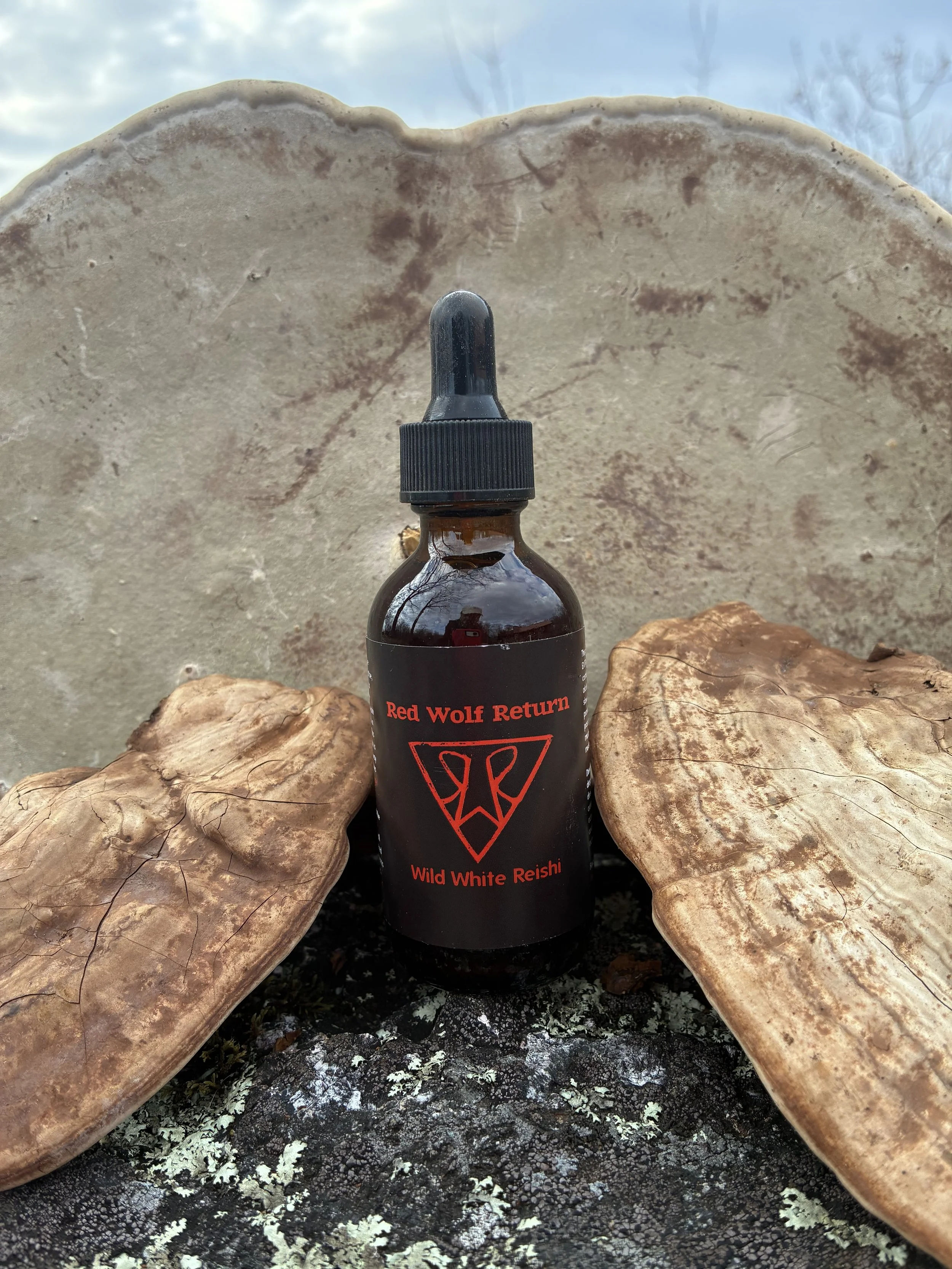 Wild White Reishi Dual Extract Tincture