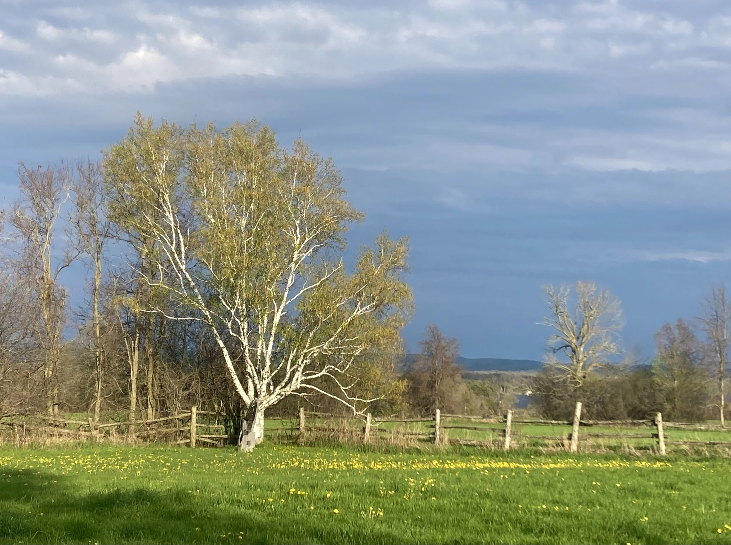 In Person Workshop at Rice Lake Arts