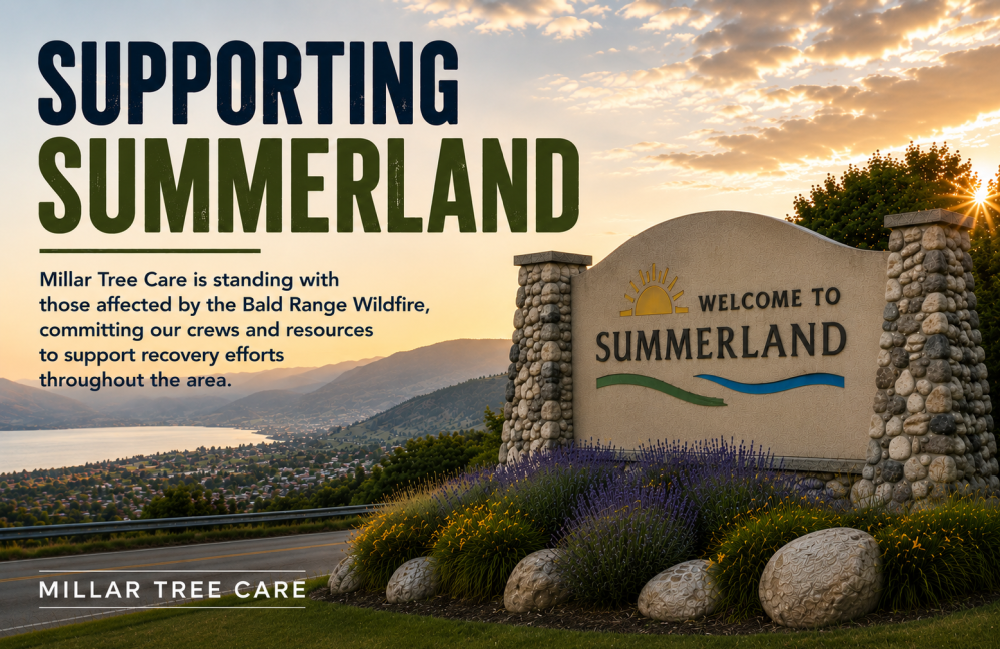 Supporting Summerland