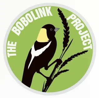 Bobolink Project