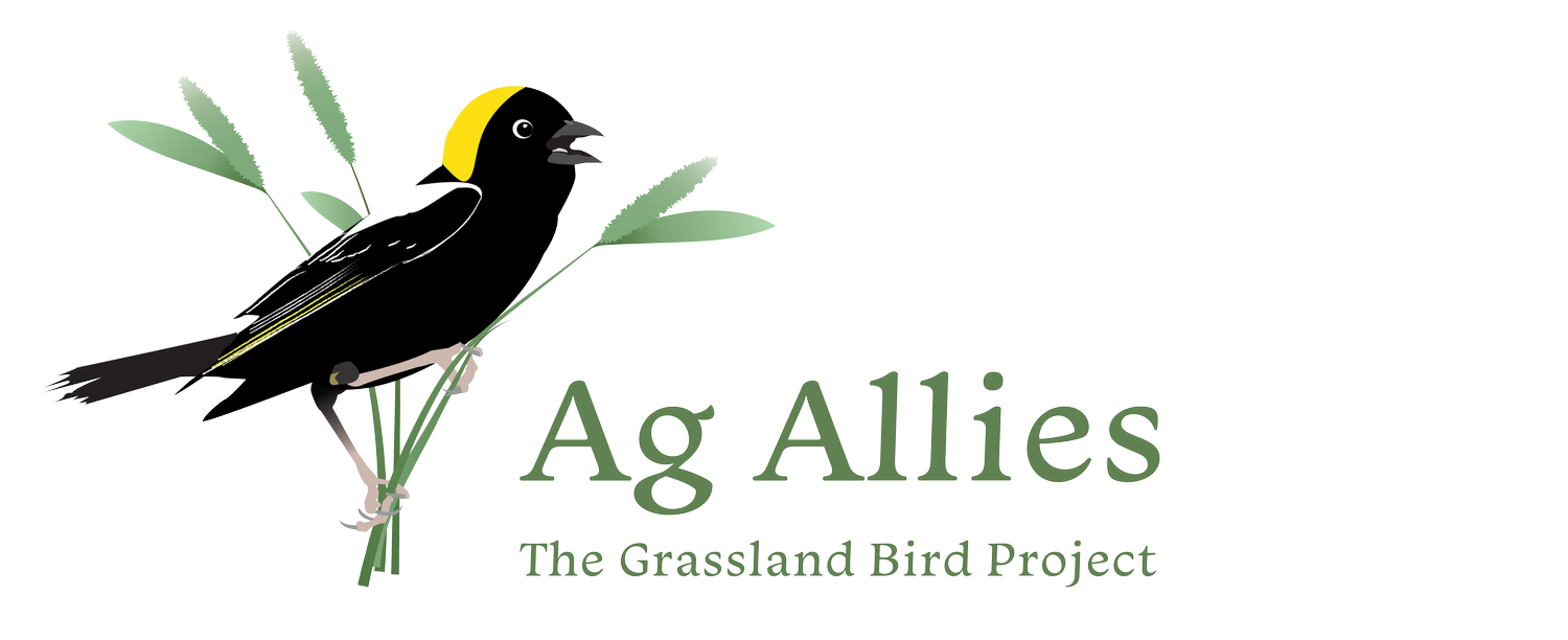 Ag Allies
