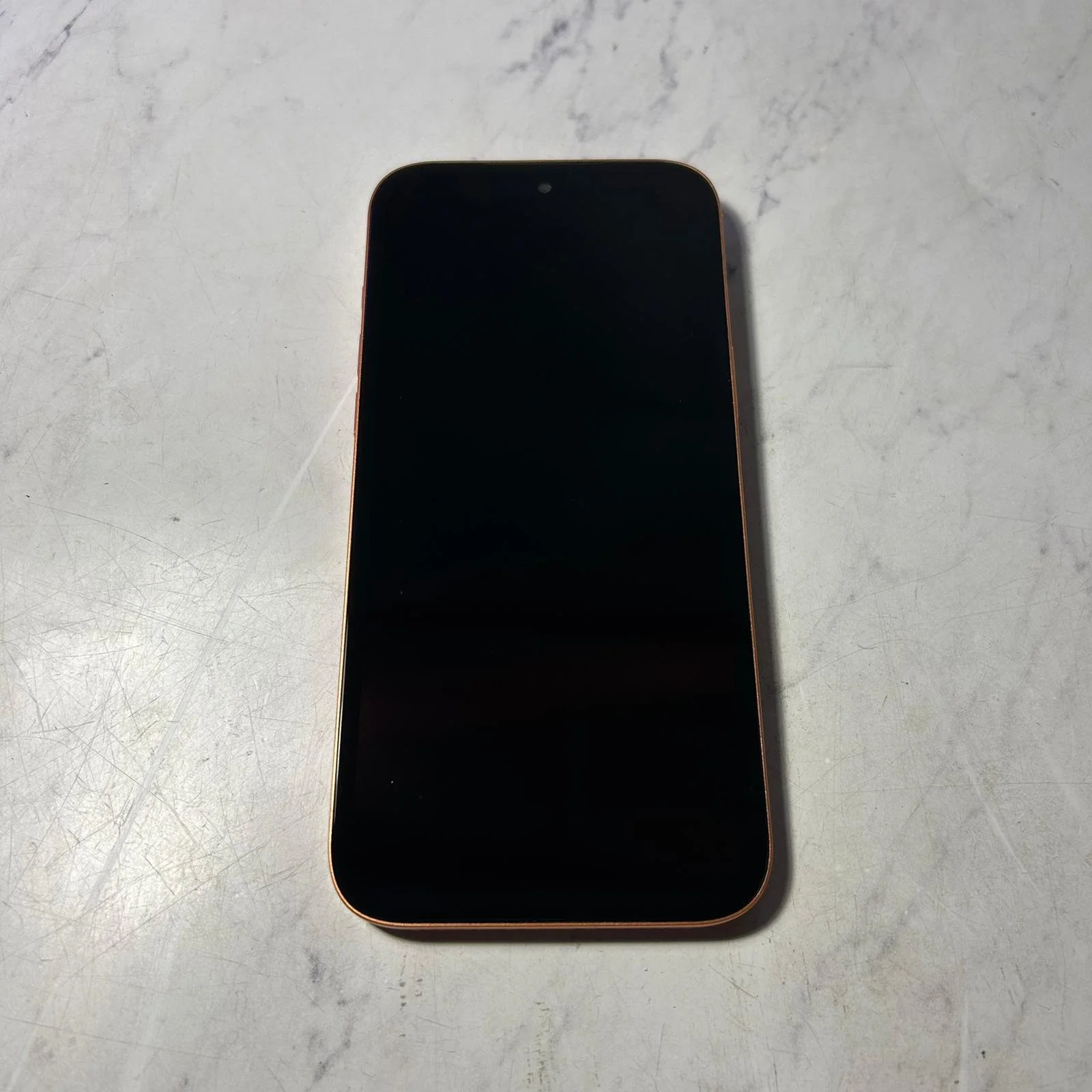 WhatsApp Image 2026-02-18 at 17.59.58 (1).jpeg