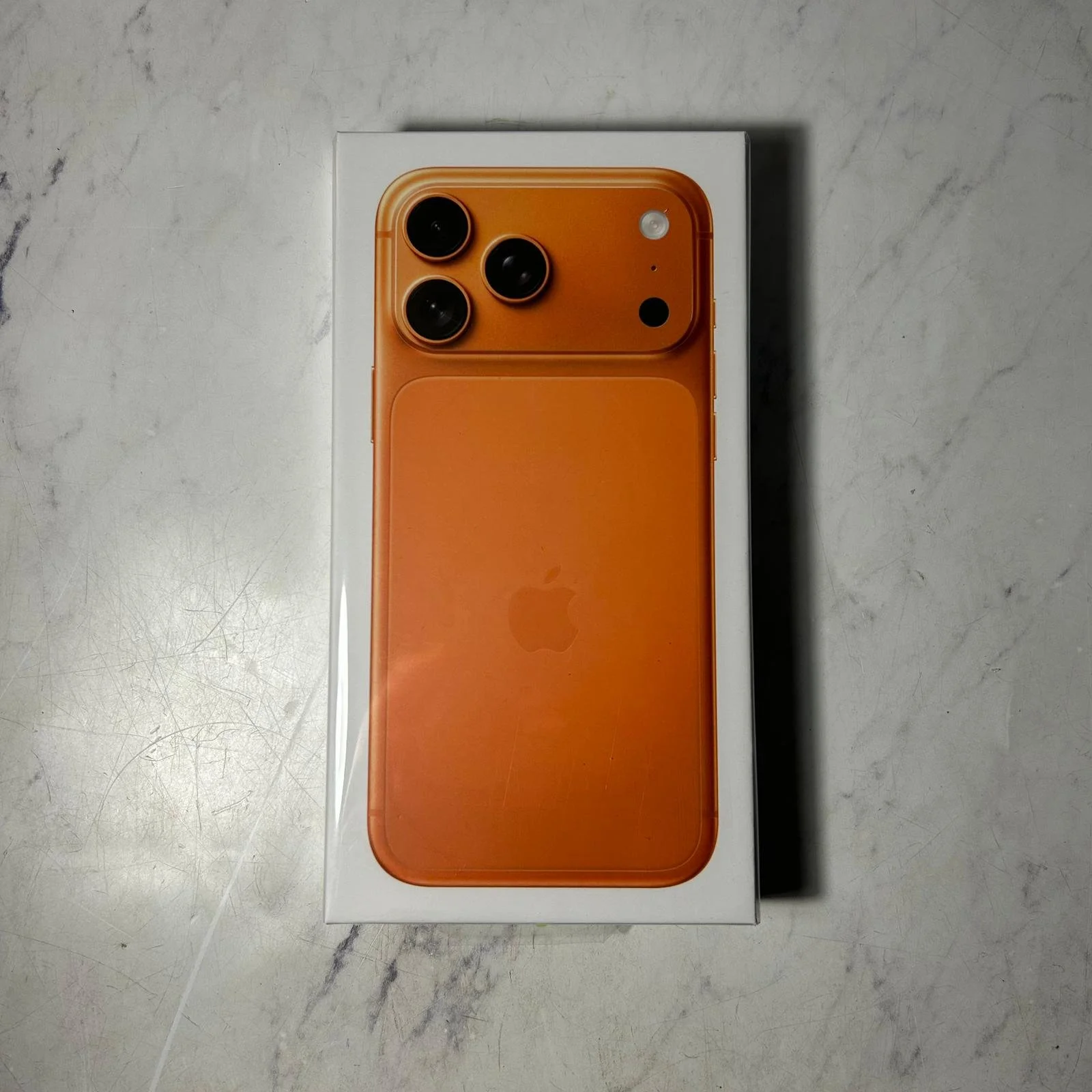 WhatsApp Image 2026-02-18 at 18.00.06.jpeg