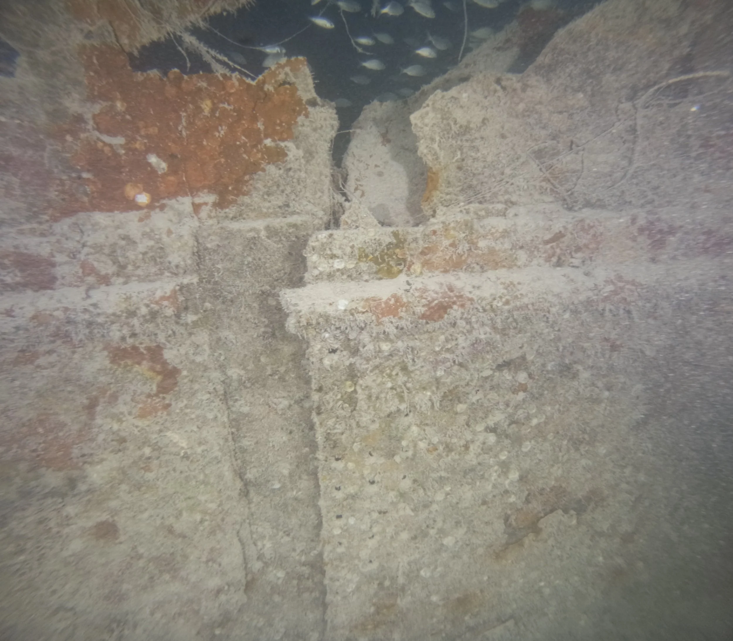 Underwater photograph confirming hull fracture features documented in the photogrammetry model on the starboard side of HMCS Canada.