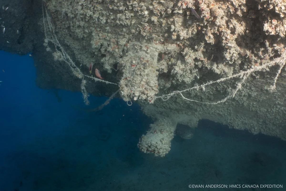 Brackets that once supported the starboard propeller shaft. Both the shaft and propeller are missing from the wreck site.