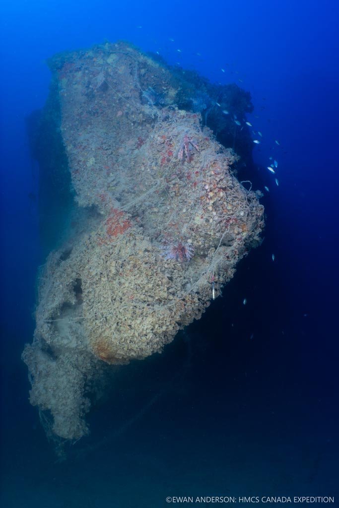 The stern of HMCS Canada, bent and twisted when the sinking ship struck the seafloor nearly 70 m (230 feet) below the surface. The structure is now heavily encrusted with marine life, draped with fishing line, and inhabited by multiple fish species.
