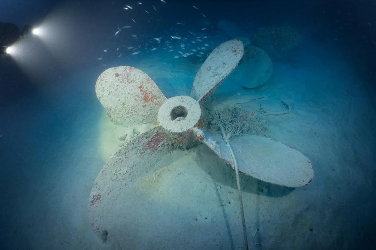 One of two spare propellers, entangled with modern anchor rope, resting on the seafloor at 69 m (225 feet) near the stern of the wreck.