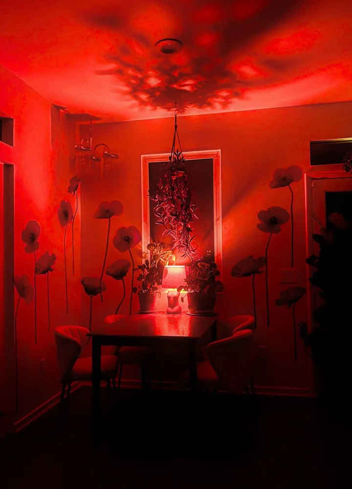 A dining room with a red glow, featuring a table with potted plants, surrounded by chairs, and floral wall decals, with a hanging lamp casting shadows on the ceiling at Joytown, a transformational retreat & tantra sanctuary in Colorado.