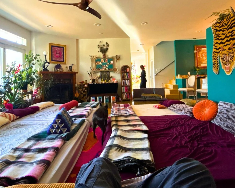 Living room with colorful cushions, blankets, and plants, a fireplace, and a person in the background, with a dog in the foreground at Joytown, a transformational retreat & tantra sanctuary in Colorado.
