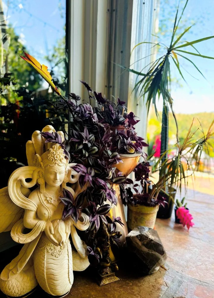 Decorative statues and potted plants on a windowsill with a view outside, including purple leafy plants, pink flowering plants, and a large crystal  at Joytown, a transformational retreat & tantra sanctuary in Colorado.