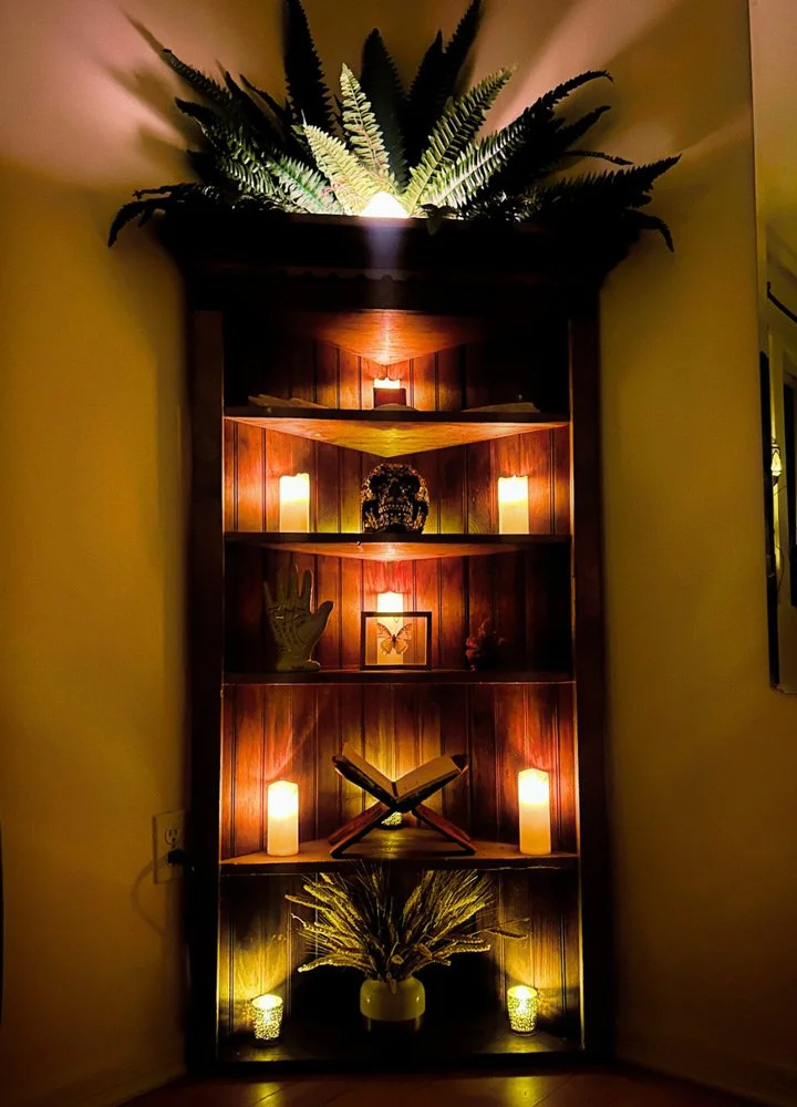 A wooden bookshelf decorated with candles, a skull, a hand sculpture, a framed butterfly, an open book, and plants, illuminated with warm lighting, with fern plants on top at Joytown, a transformational retreat & tantra sanctuary in Colorado.