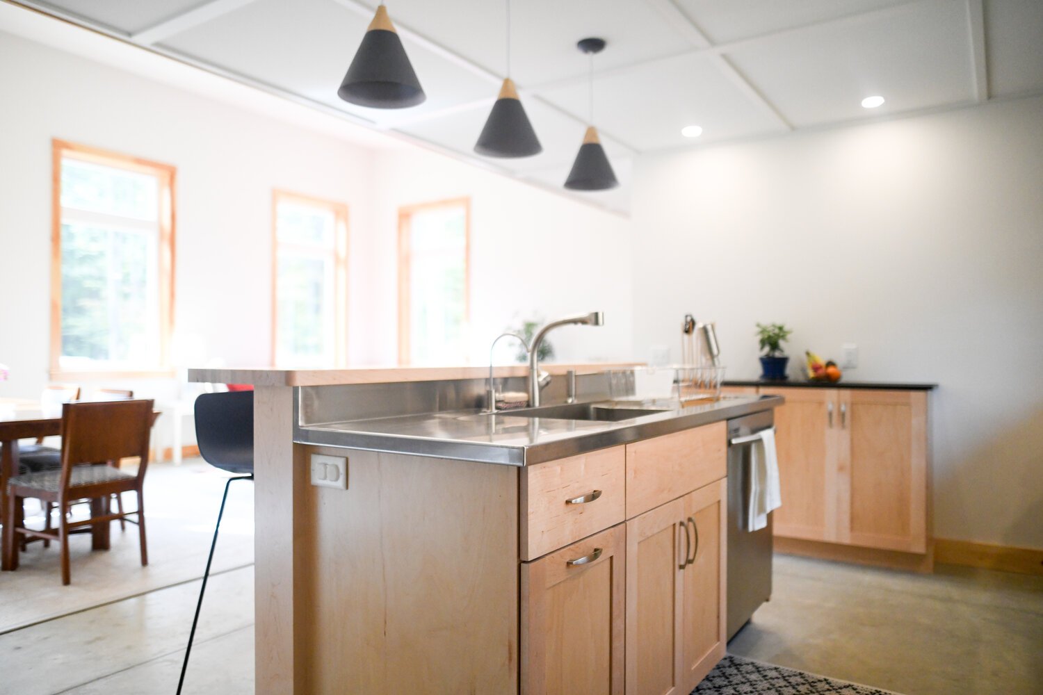 Northwest-Modern-Design-Build-Mighty-Roots-Interior-Kitchen-Island-Sink.jpg