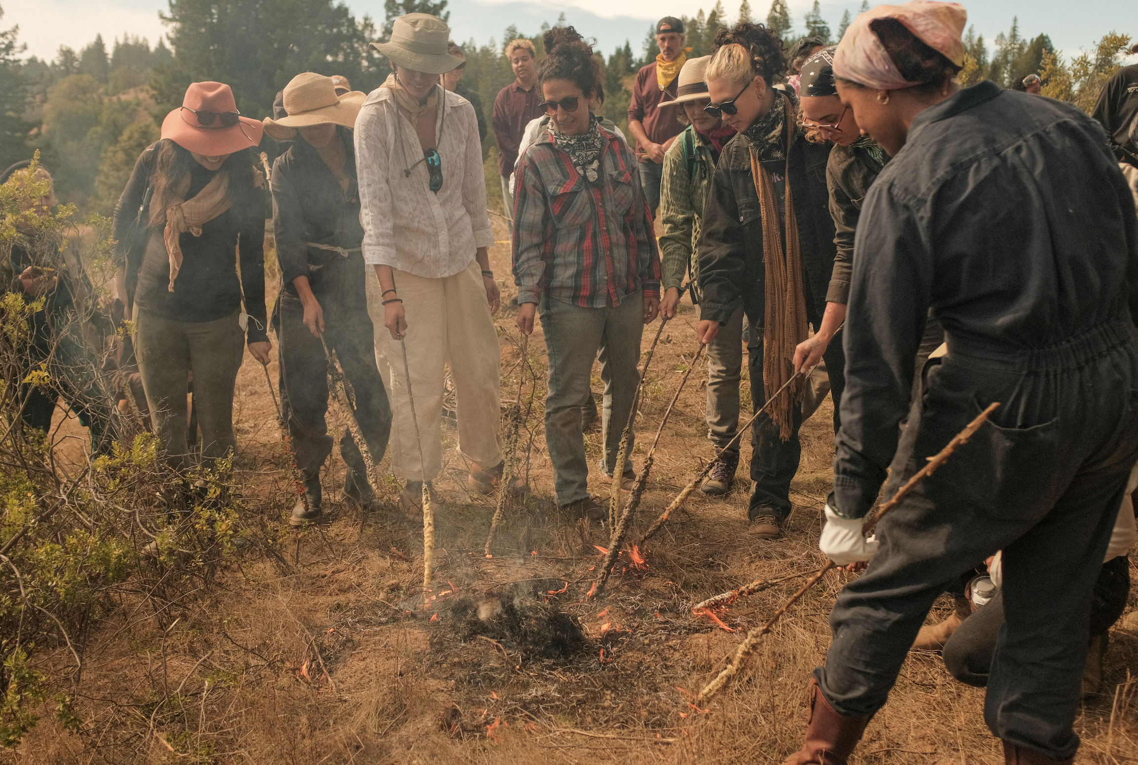 Screenshot 2024-12-16 at 12.23.15 PM.png