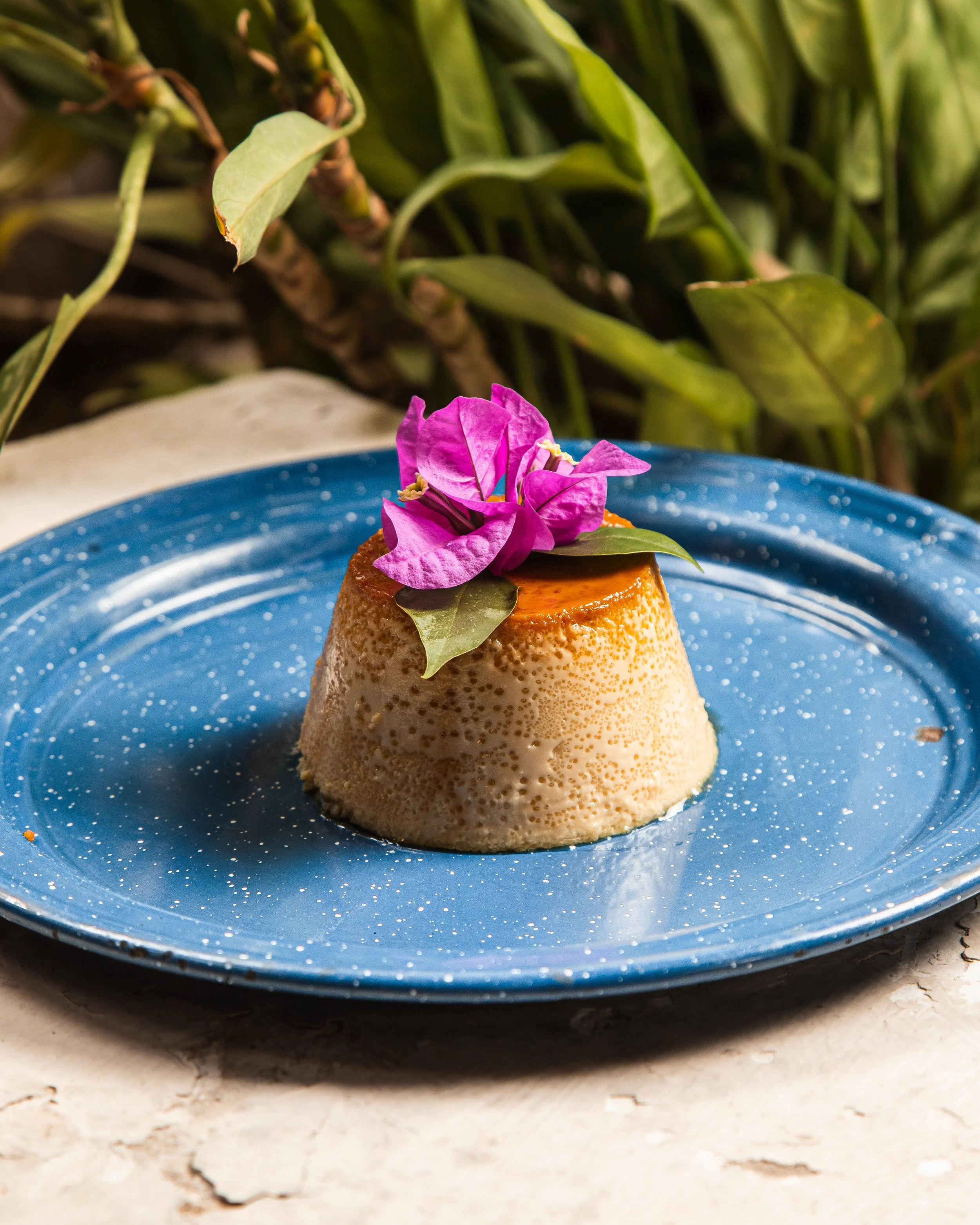 Postre de flan de queso de bola decorado con flor de bugambilia y hojas verdes en plato azul.