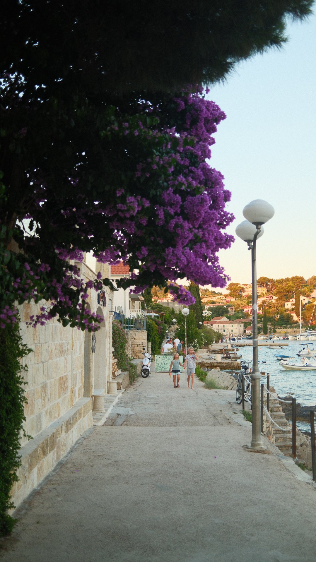 melba-ines-24.jpg