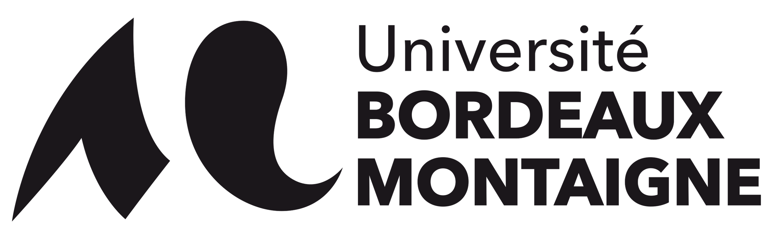 image (13).png