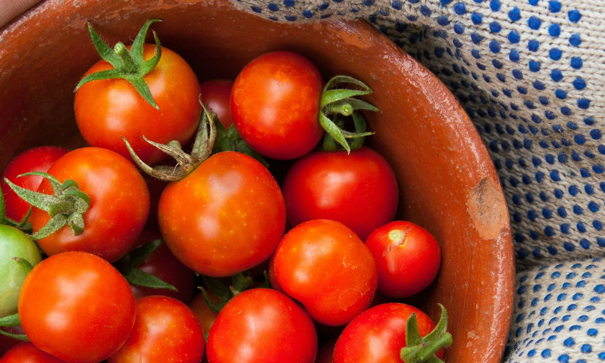 Nourishment with the Seasons: Summer Salsa Workshop